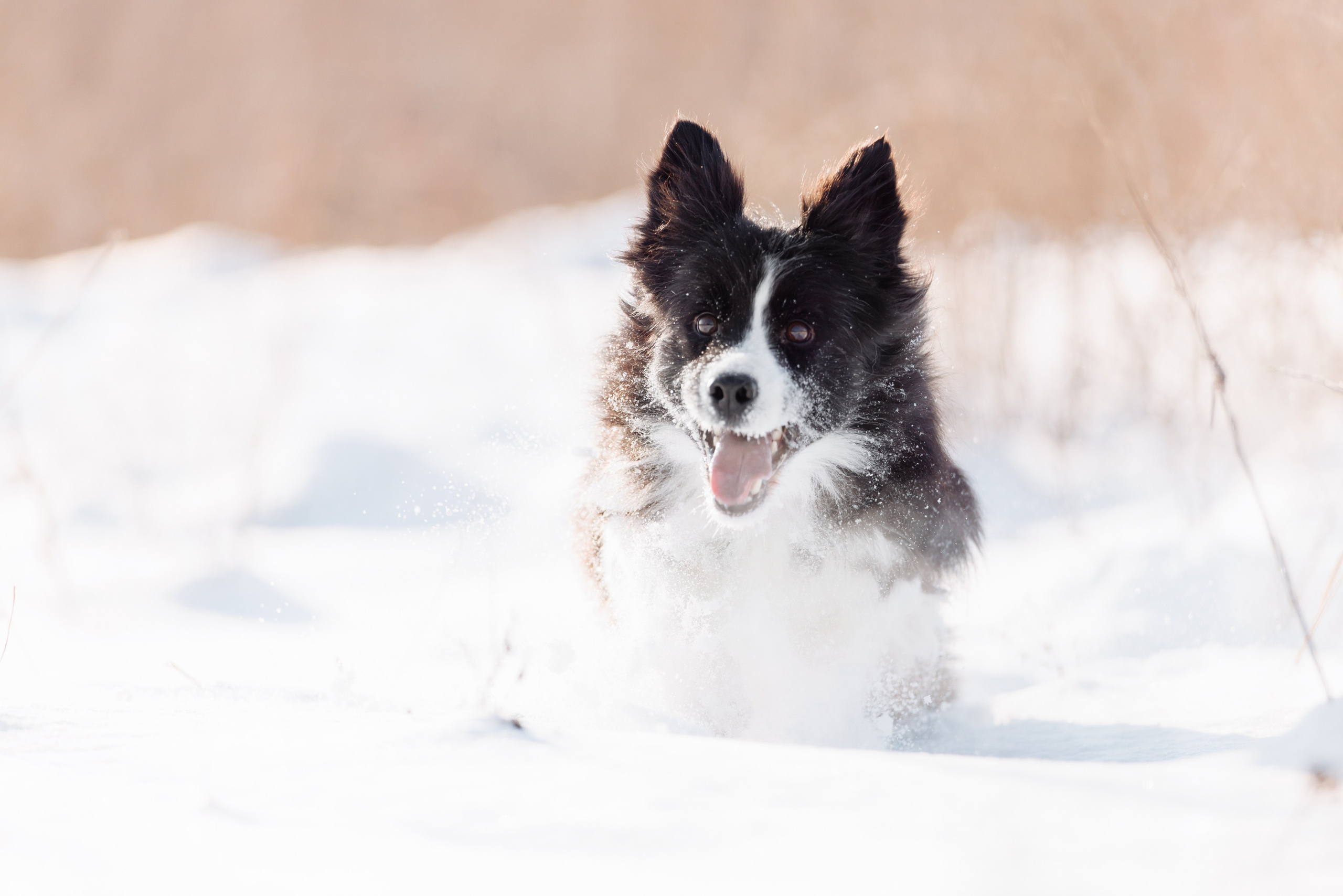 Яркий январь. О нас