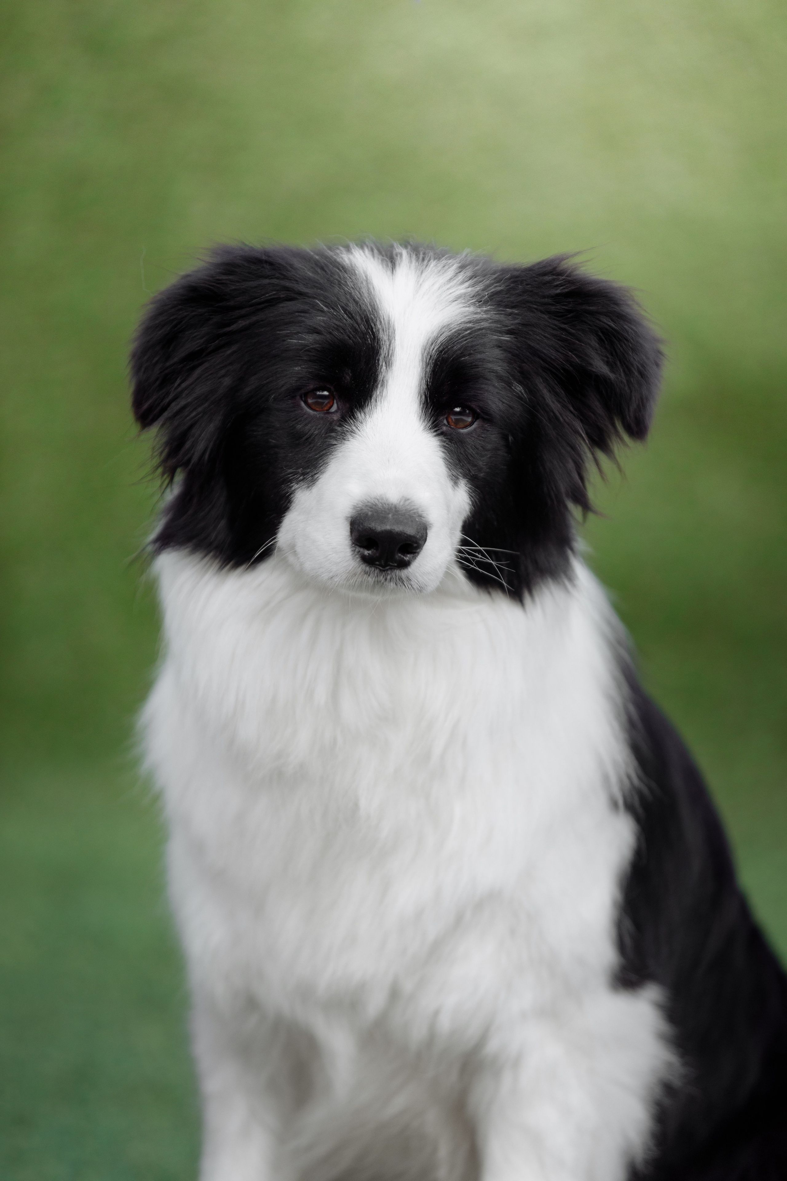 Hidden Charm Gravity Of Love — Грета. О нас