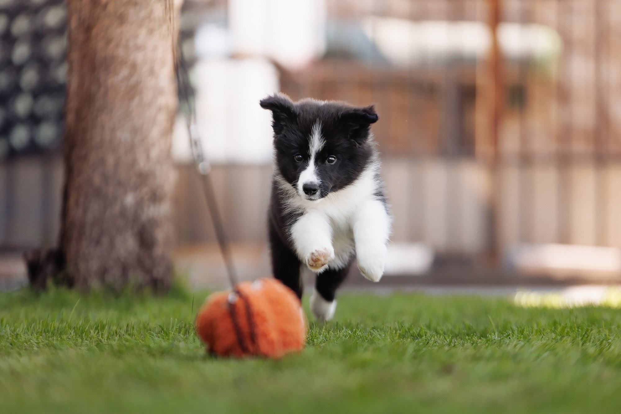Трава у дома. О нас