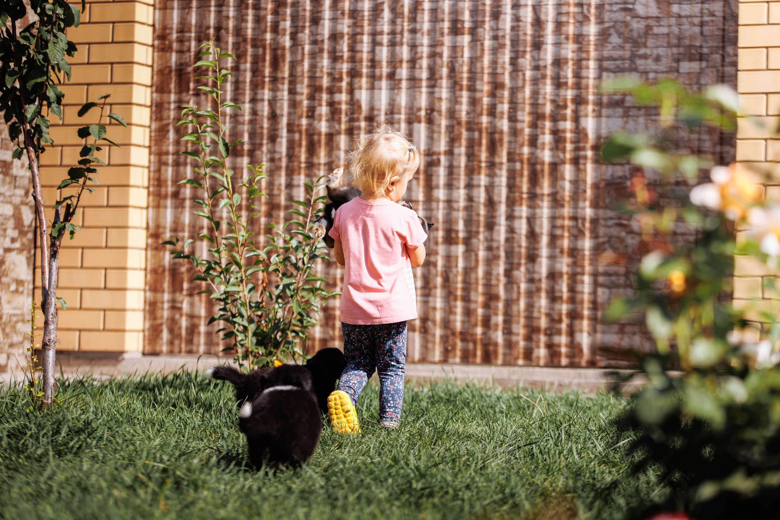 МММ — маленькое мягкое милое. О нас