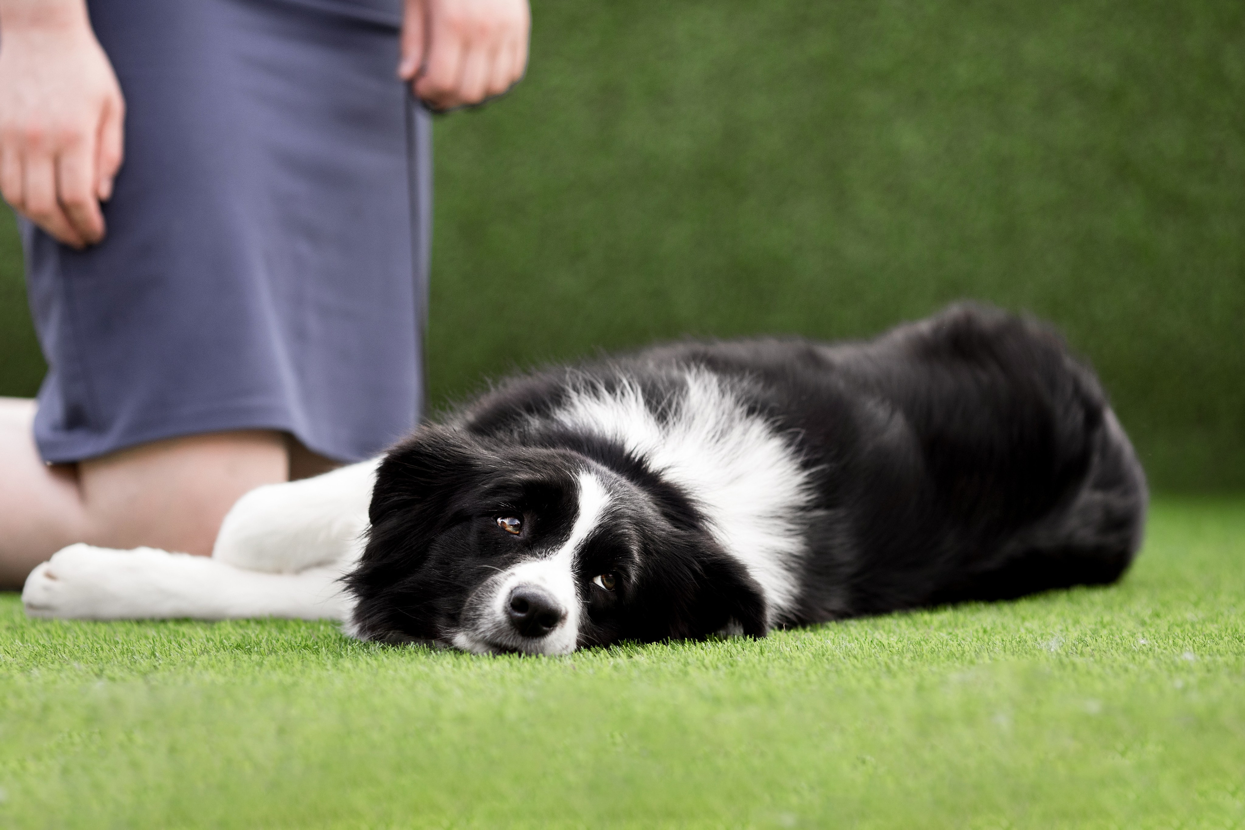 Роскошь в ростошах. О нас