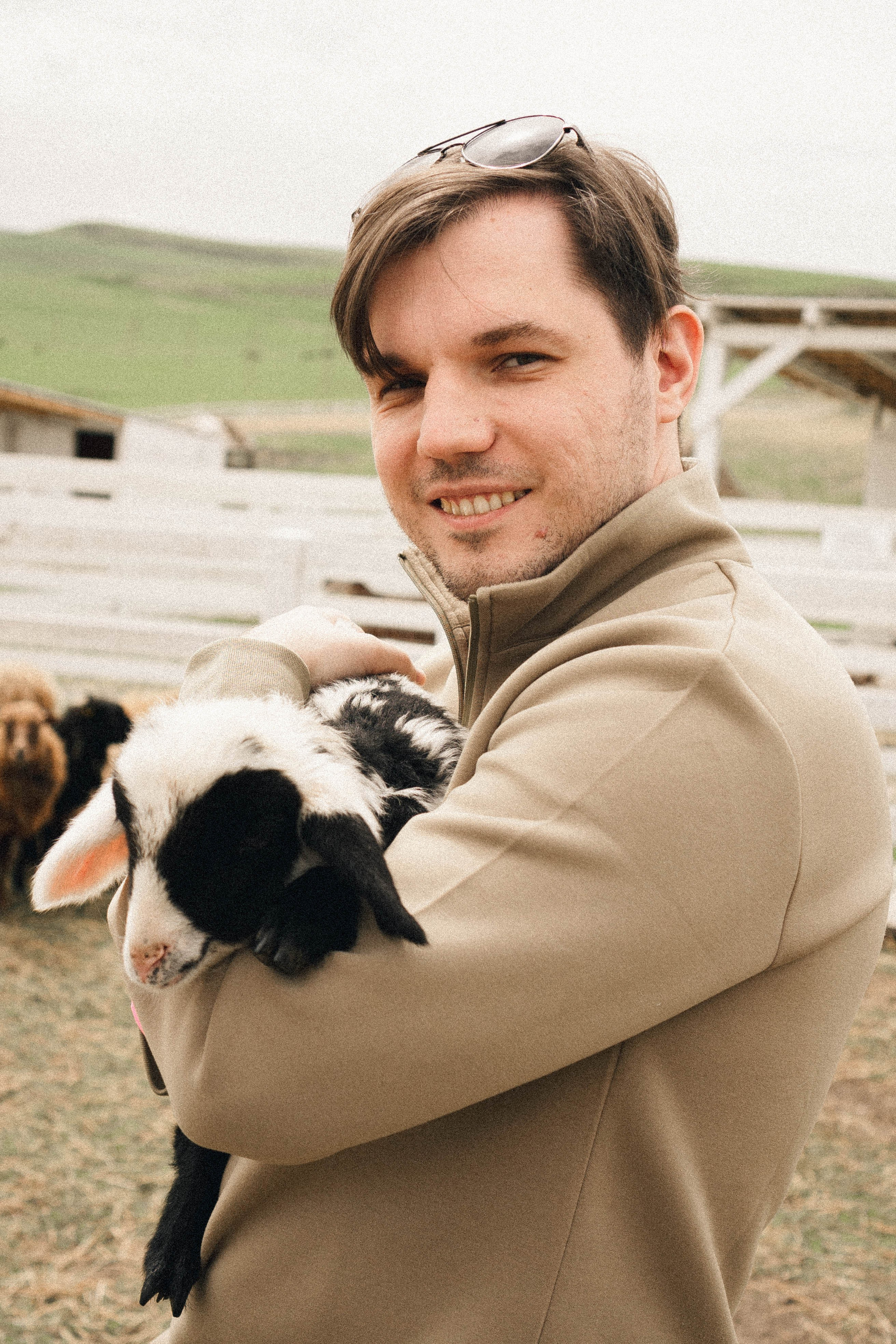 Ферма Альпак. Профессиональный фотограф, Санкт-Петербург — Виктория Богомолова