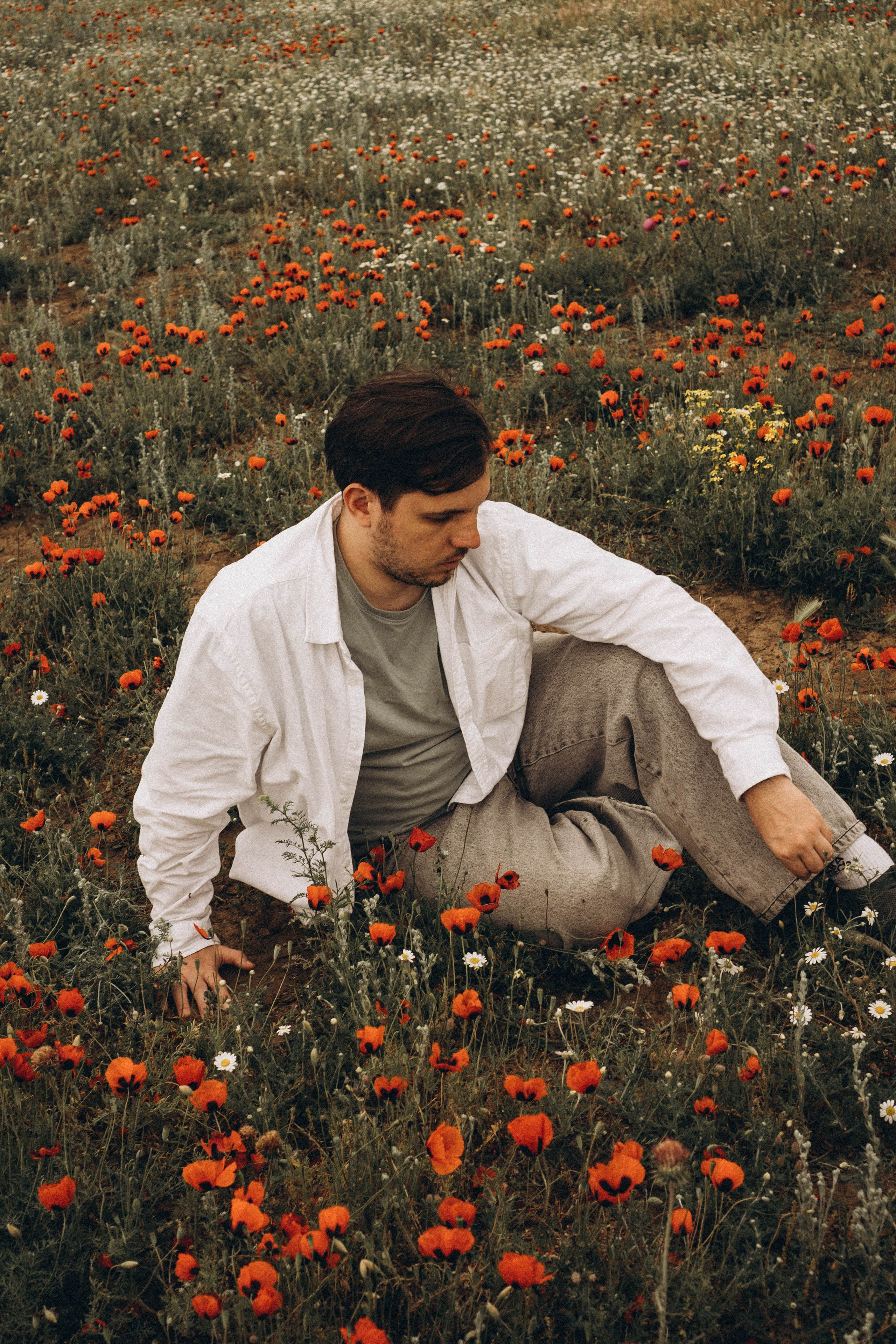 Маки. Профессиональный фотограф, Санкт-Петербург — Виктория Богомолова