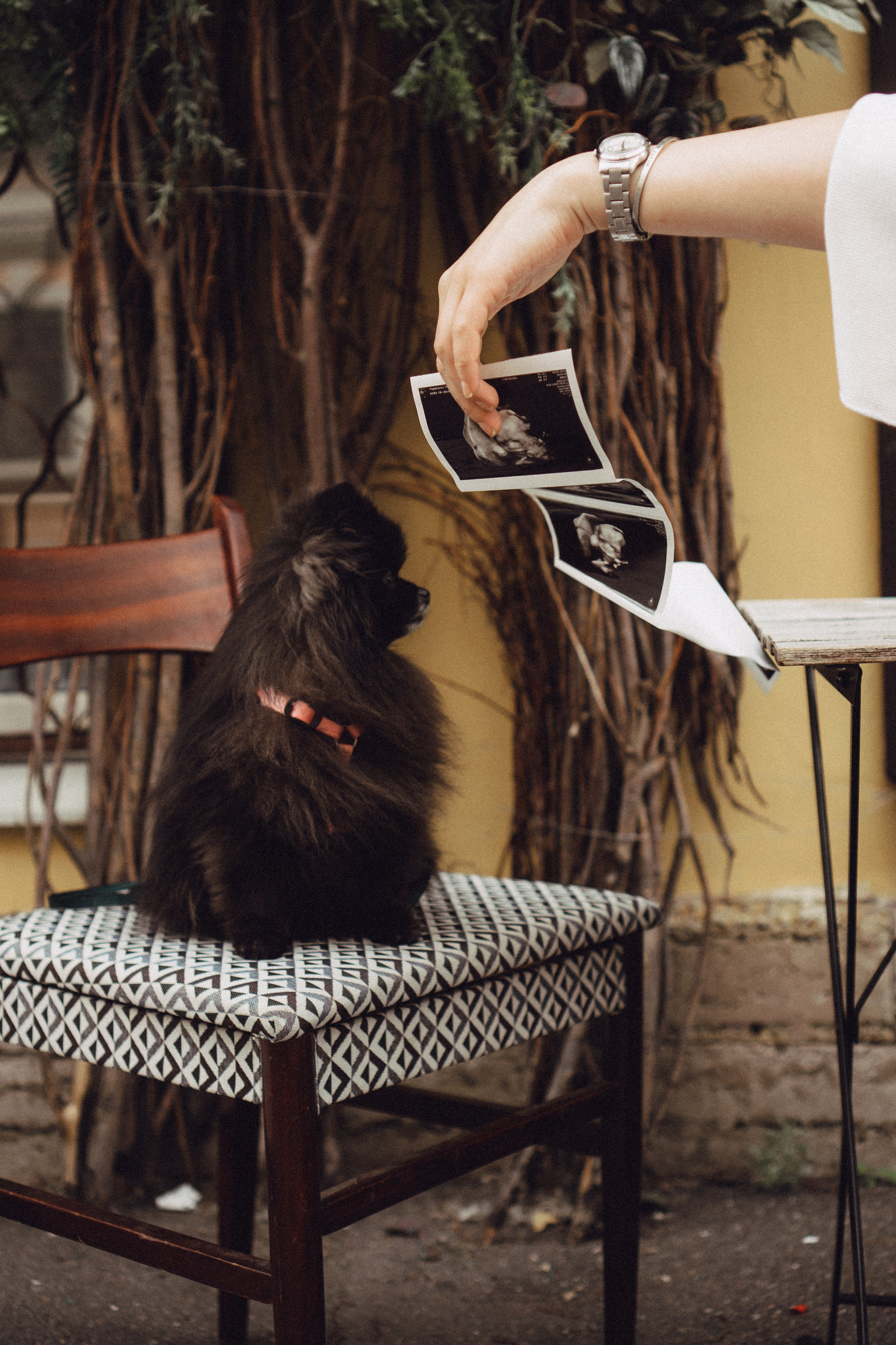 Беременность (только часть фото по желанию клиентов могу показать)). Профессиональный фотограф, Санкт-Петербург — Виктория Богомолова