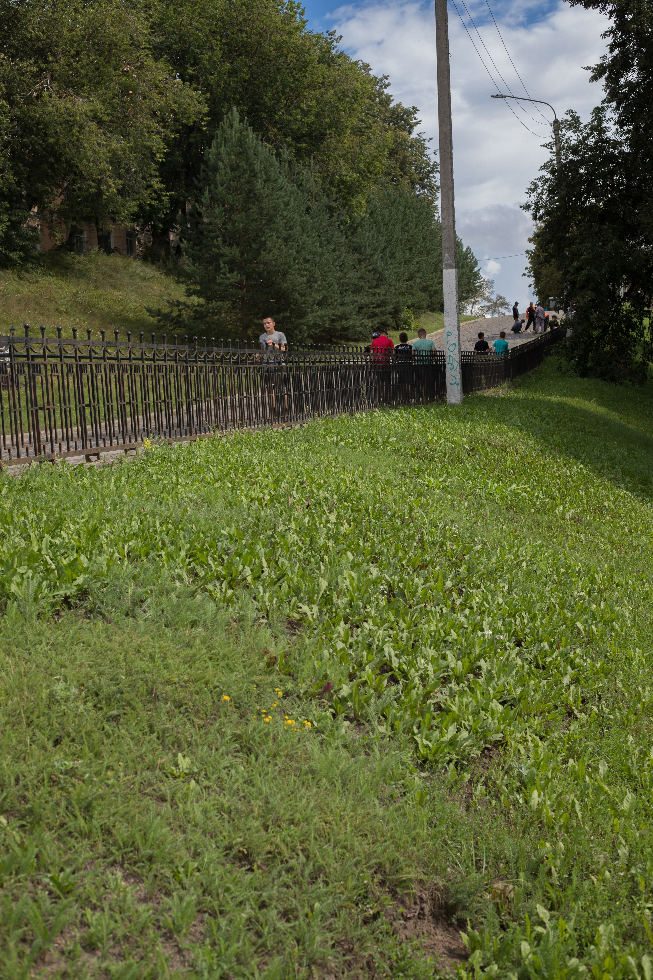Спортивны сборы. Выпускные альбомы, индивидуальные фотосессии в Костроме
