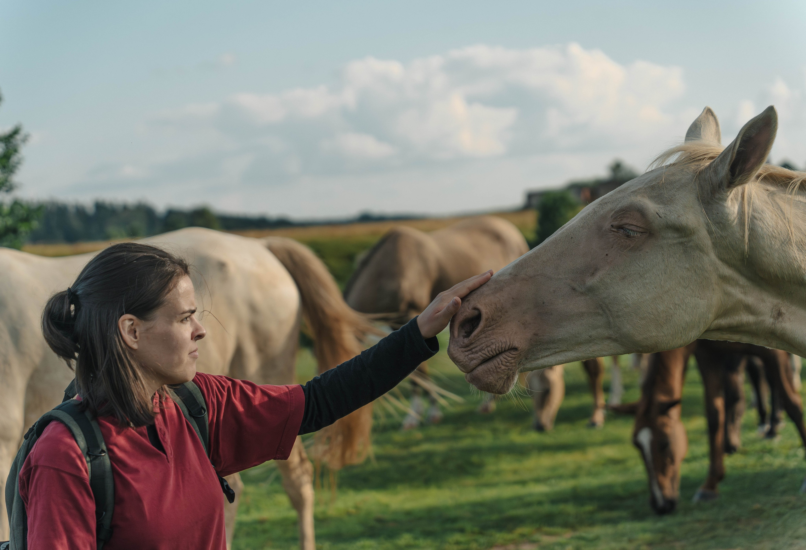 Фотосессия The Last of Us (Одни из нас). Светофография