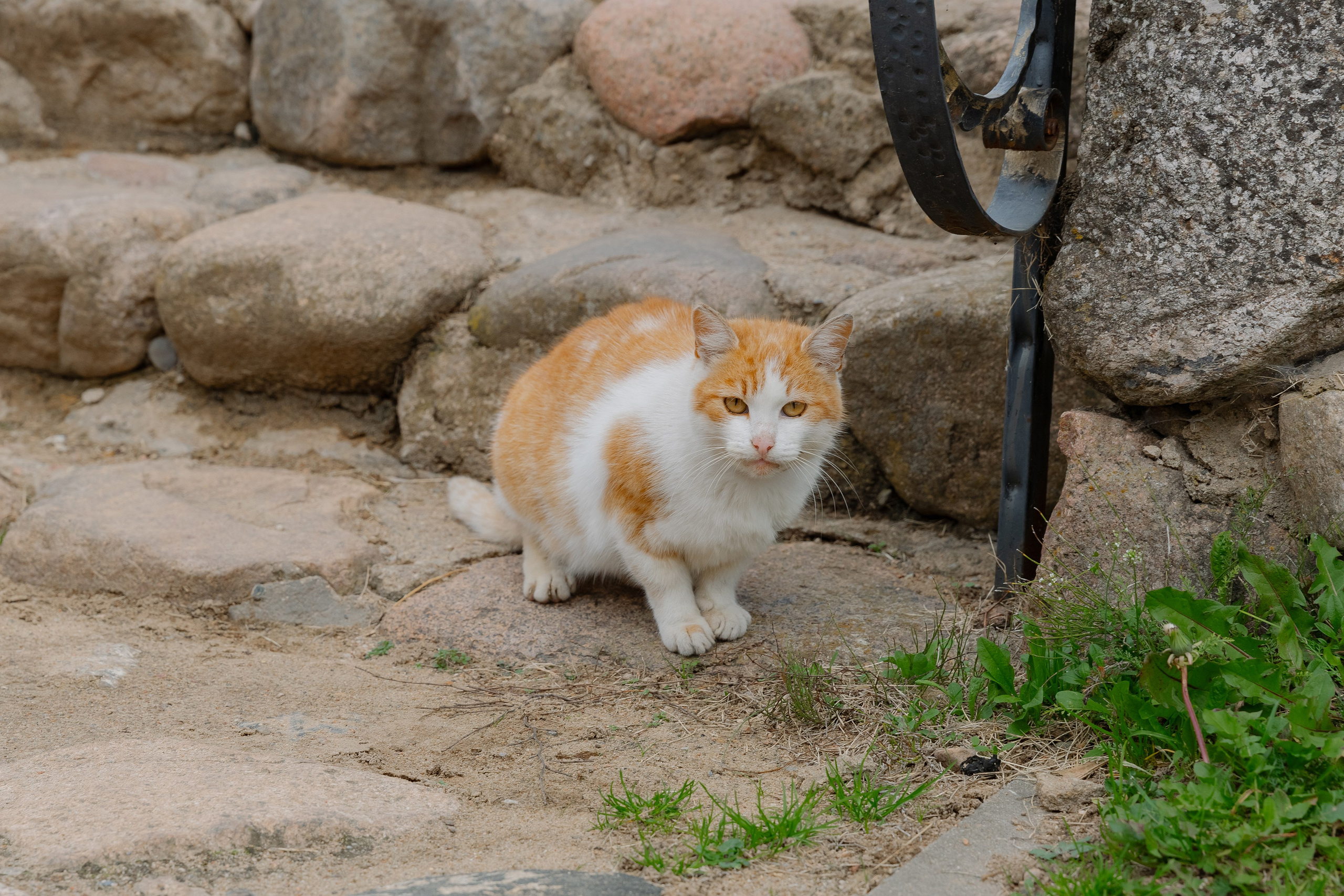 Корпоративная фотосъемка для ОАО Белагропромбанк в Суле в Загородном комплексе Westa. Свадебный фотограф в Минске/Беларуси Сергей Спиридонов