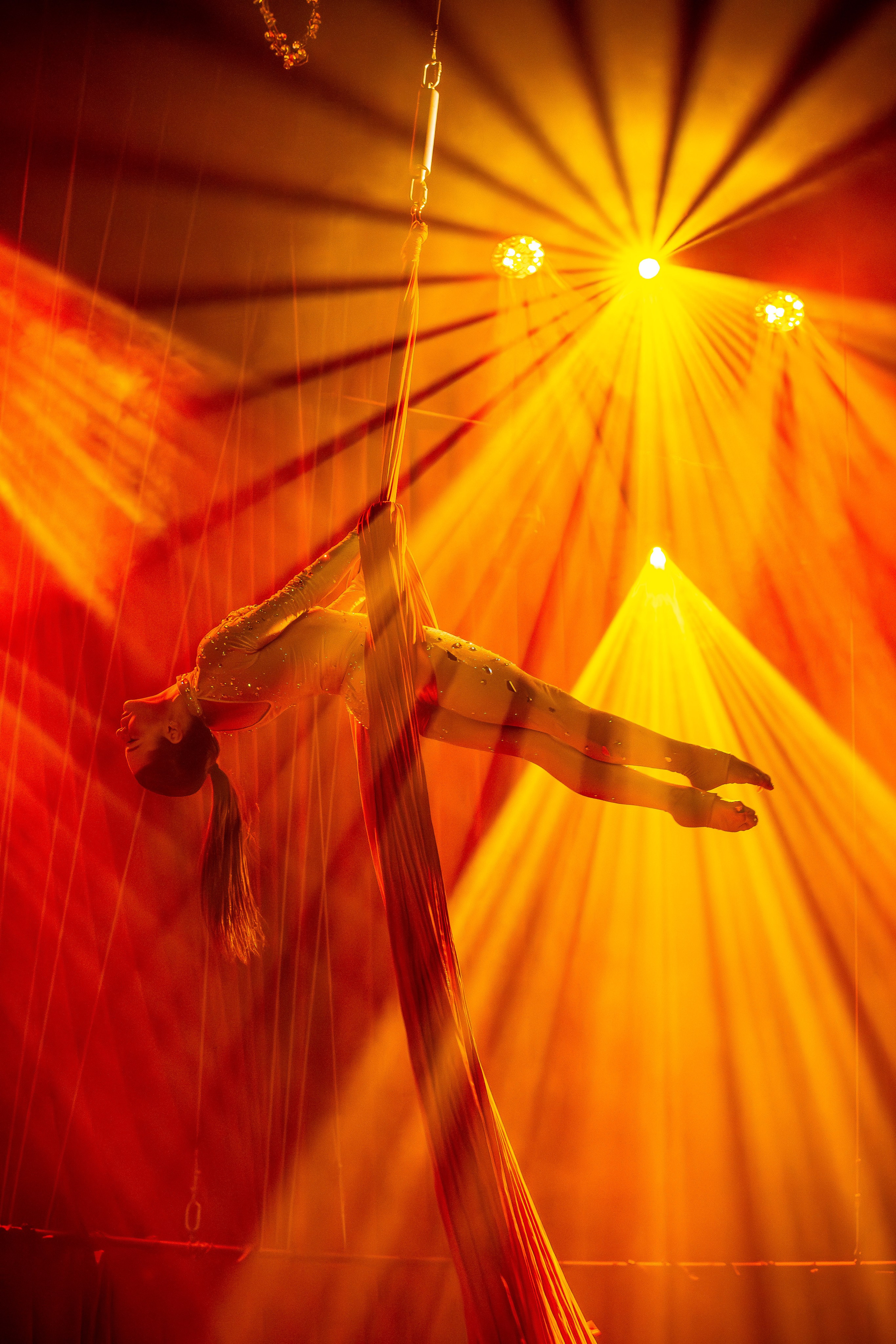 Цирковое шоу. Видеограф Добромыслов