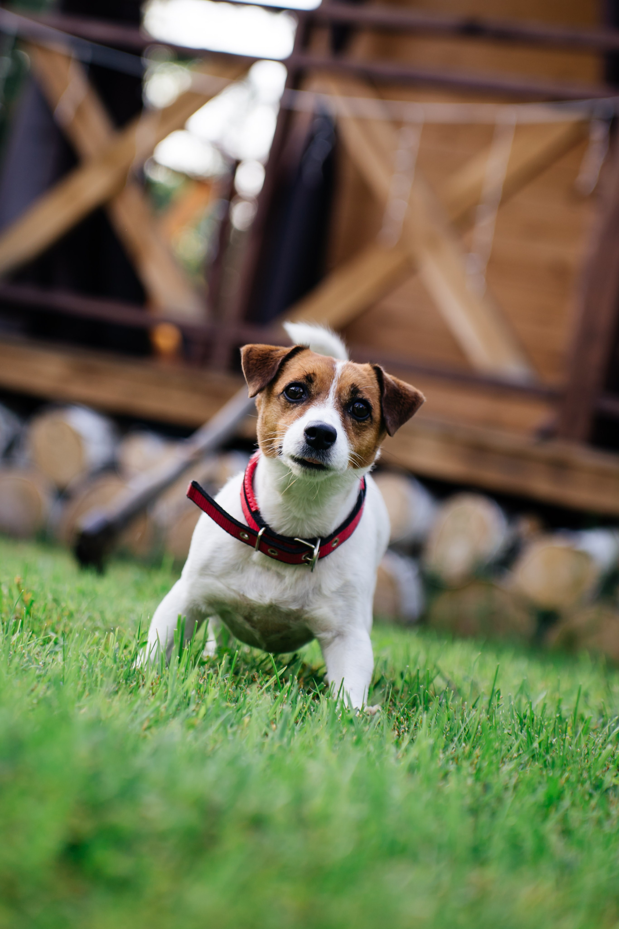 Weekend with friends. Видеограф и Фотограф в Челябинске Ксения и Владимир Рюмины