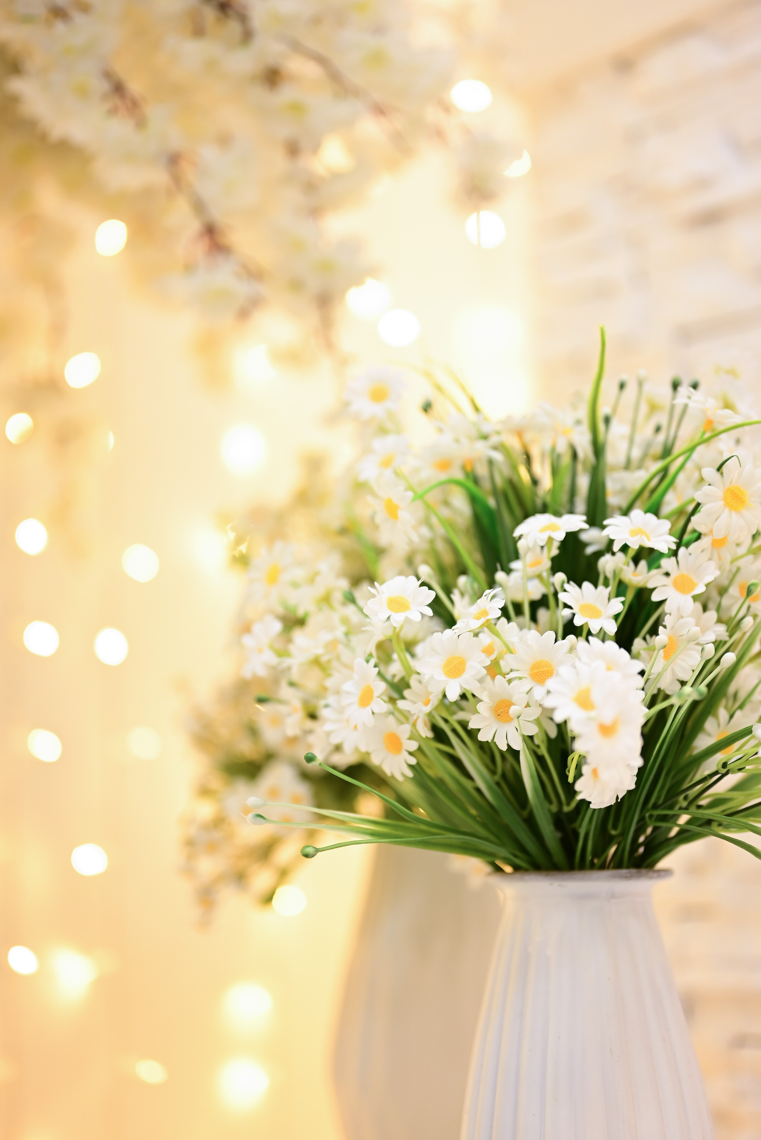 Зал — Family. Фотостудия Зефир. Фотосессии в студии под ключ. Москва. Семейные и детские фотосессии
