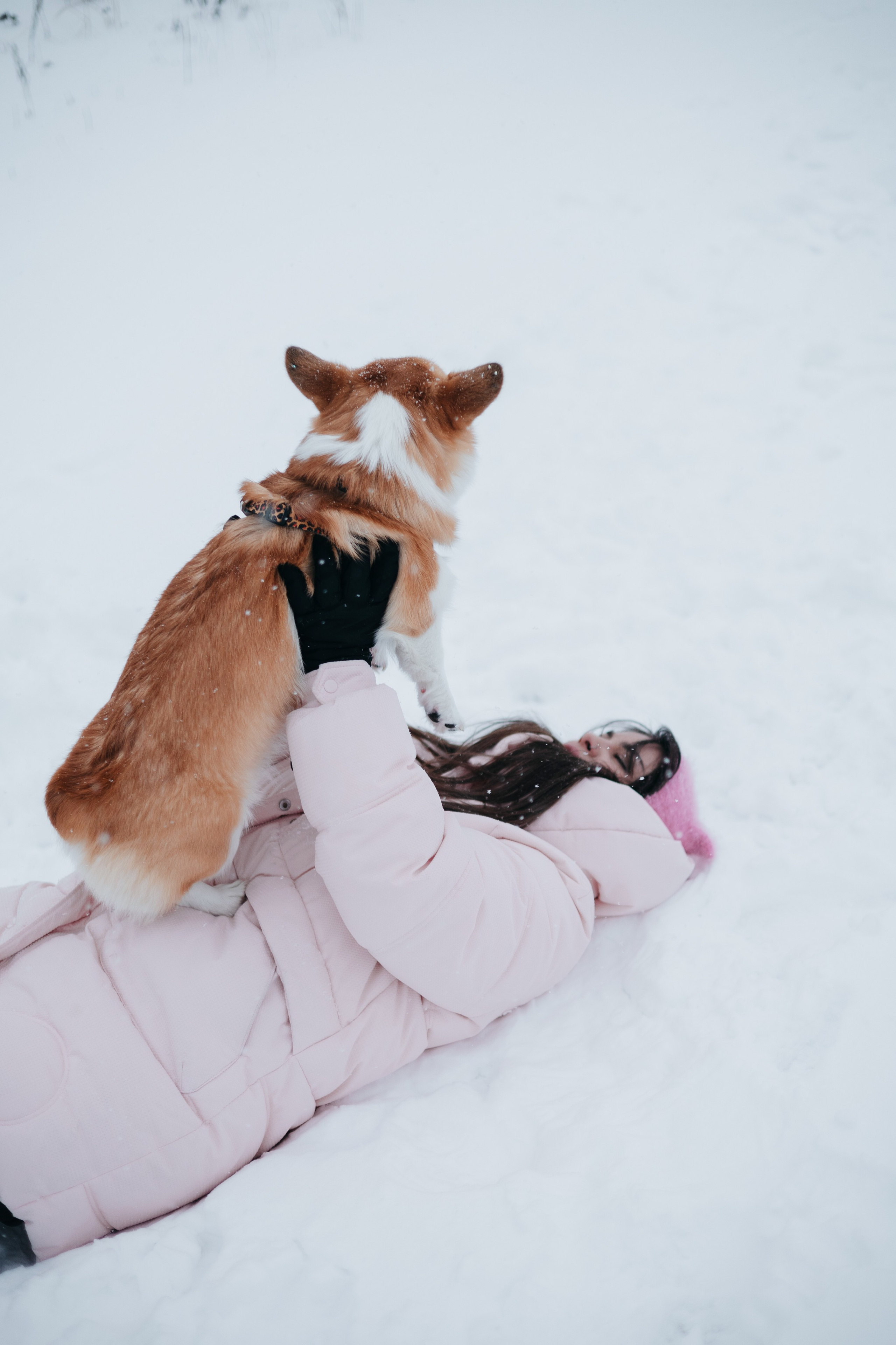 Лена, Лиза и Мия. Фотограф — анималист Владивосток, Алина