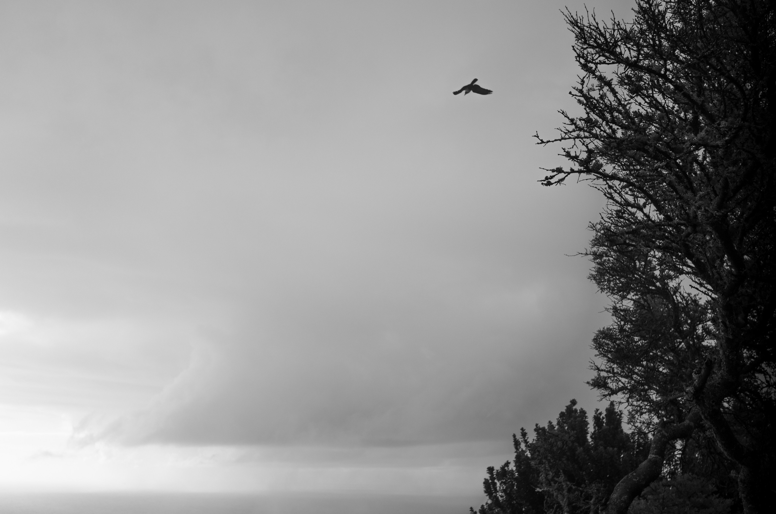 Интерьерные фотографии из Марокко. Фотографии Руслана Сайдалиева (Рус Сай)