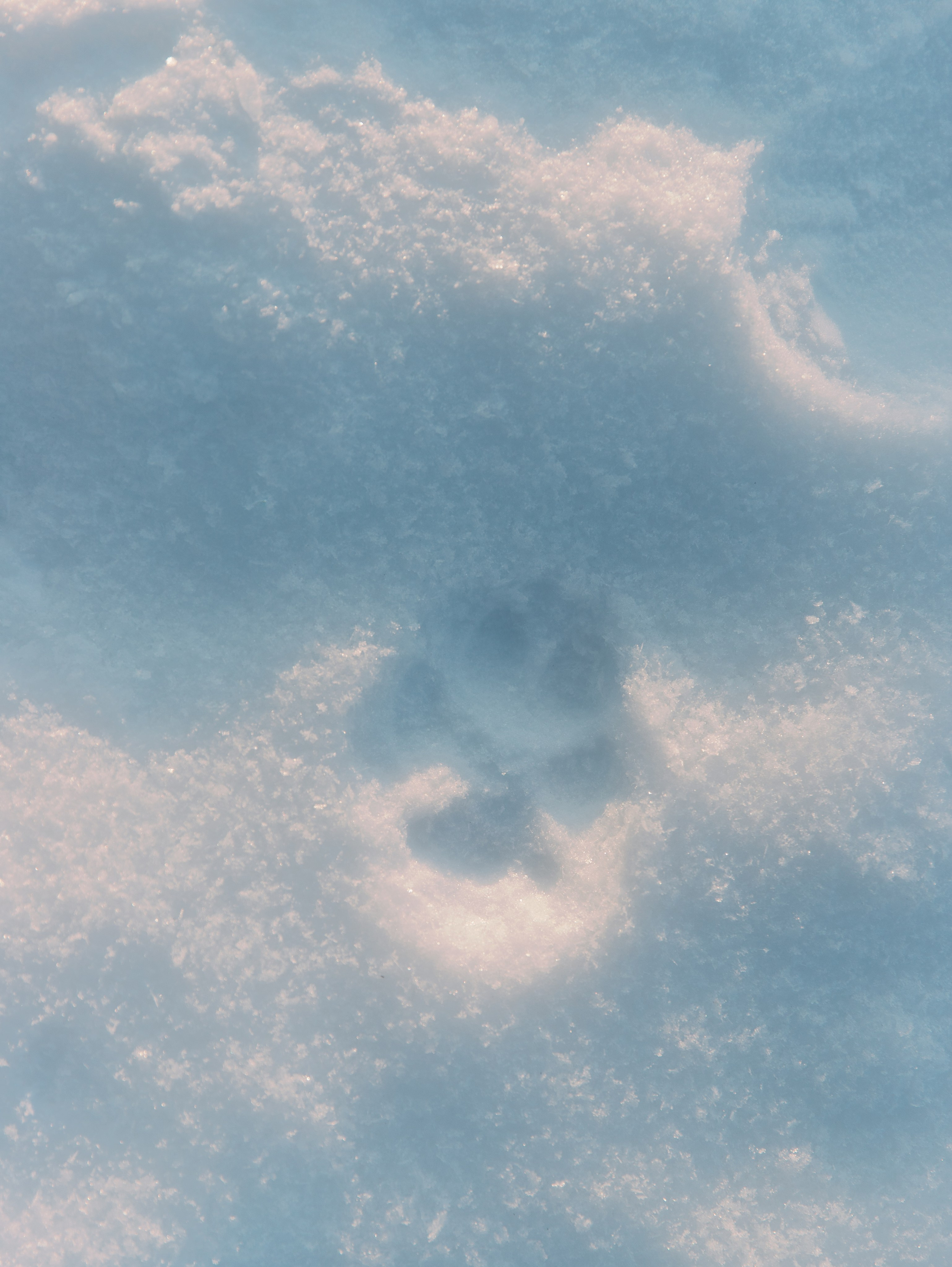 Семья. Свадебный фотограф в Москве и по всему миру