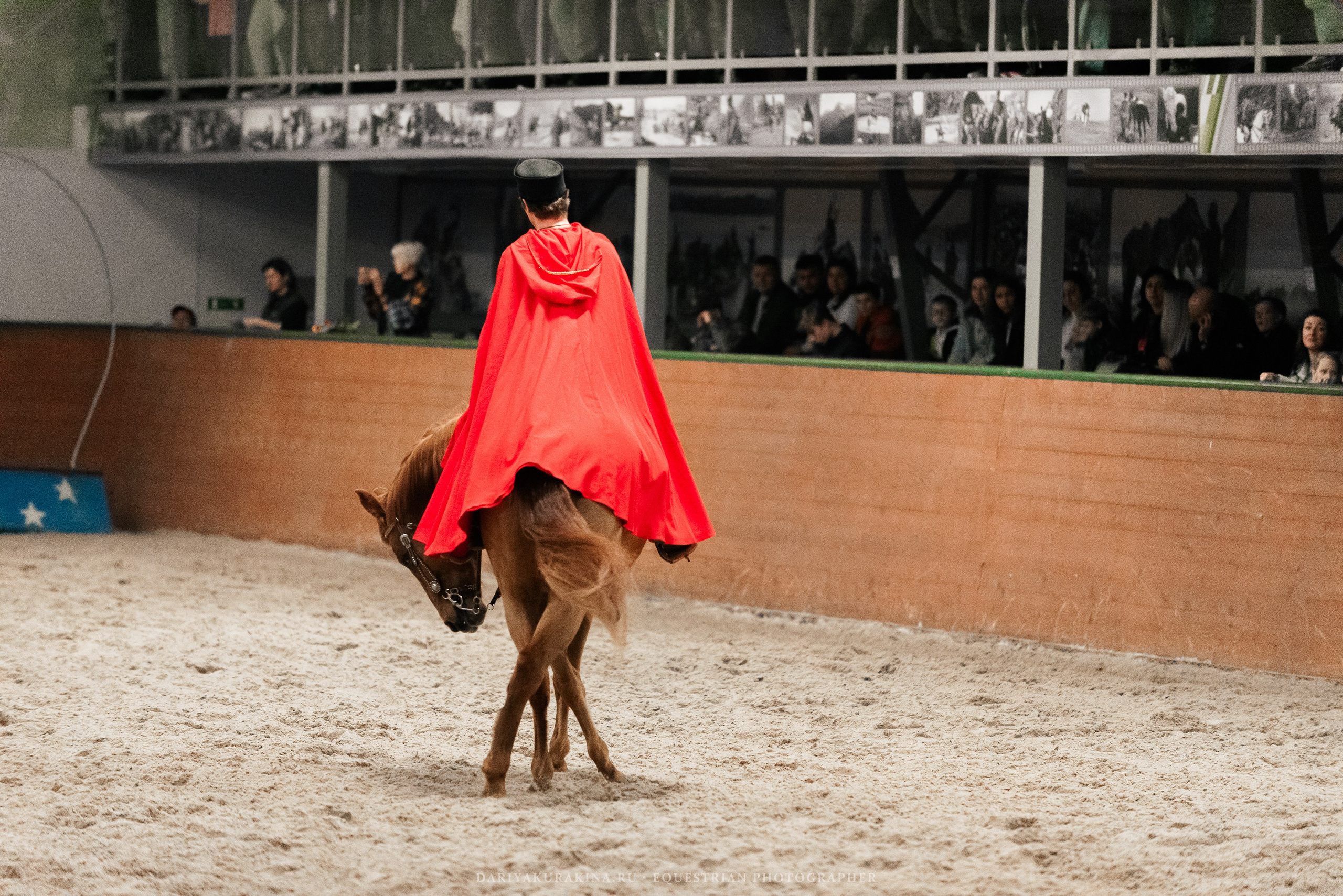 Конное представление «Дыхание Звёзд». Конный фотограф Куракина Дарья • Фотосессии с лошадьми