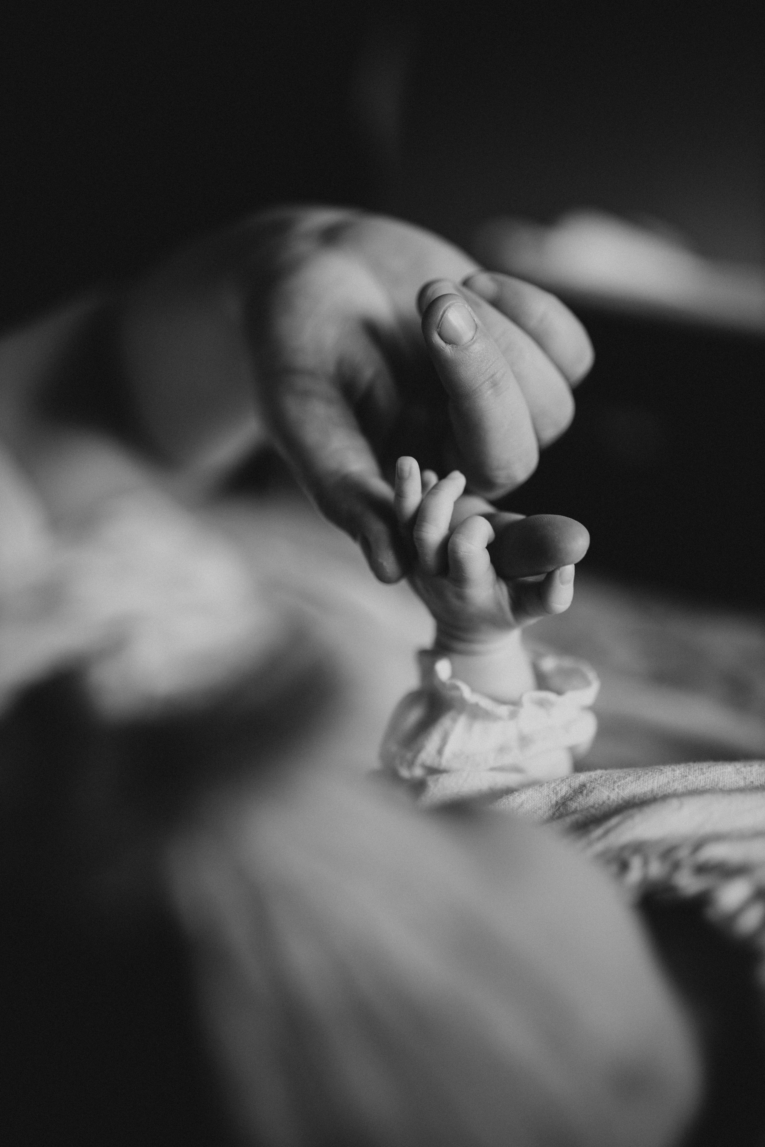 Маша, Рома и Лалита (2 мес). Семейный и детский фотограф Красноярск Иркутск Денк Анна