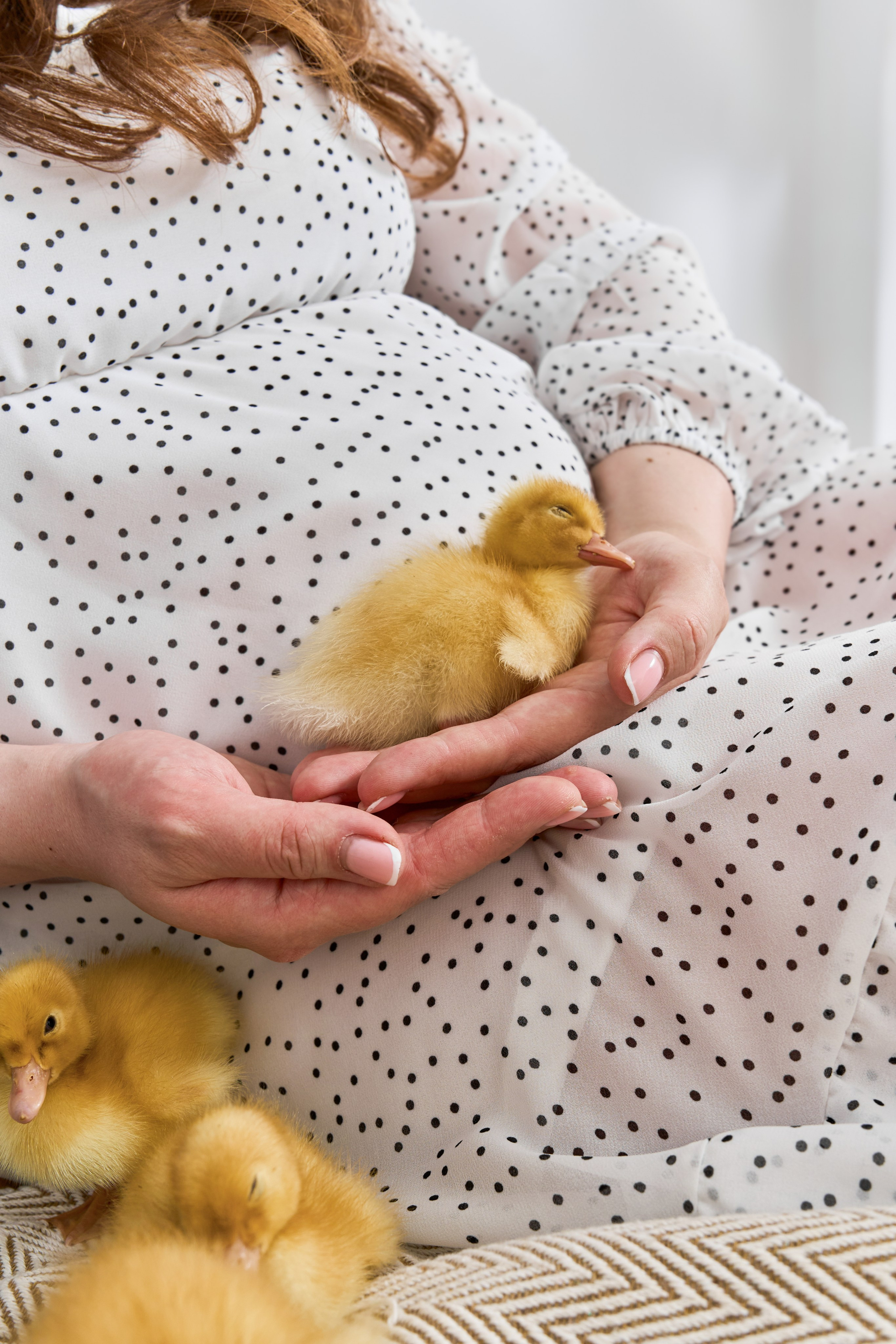 Фотодень с утятами. Фотограф