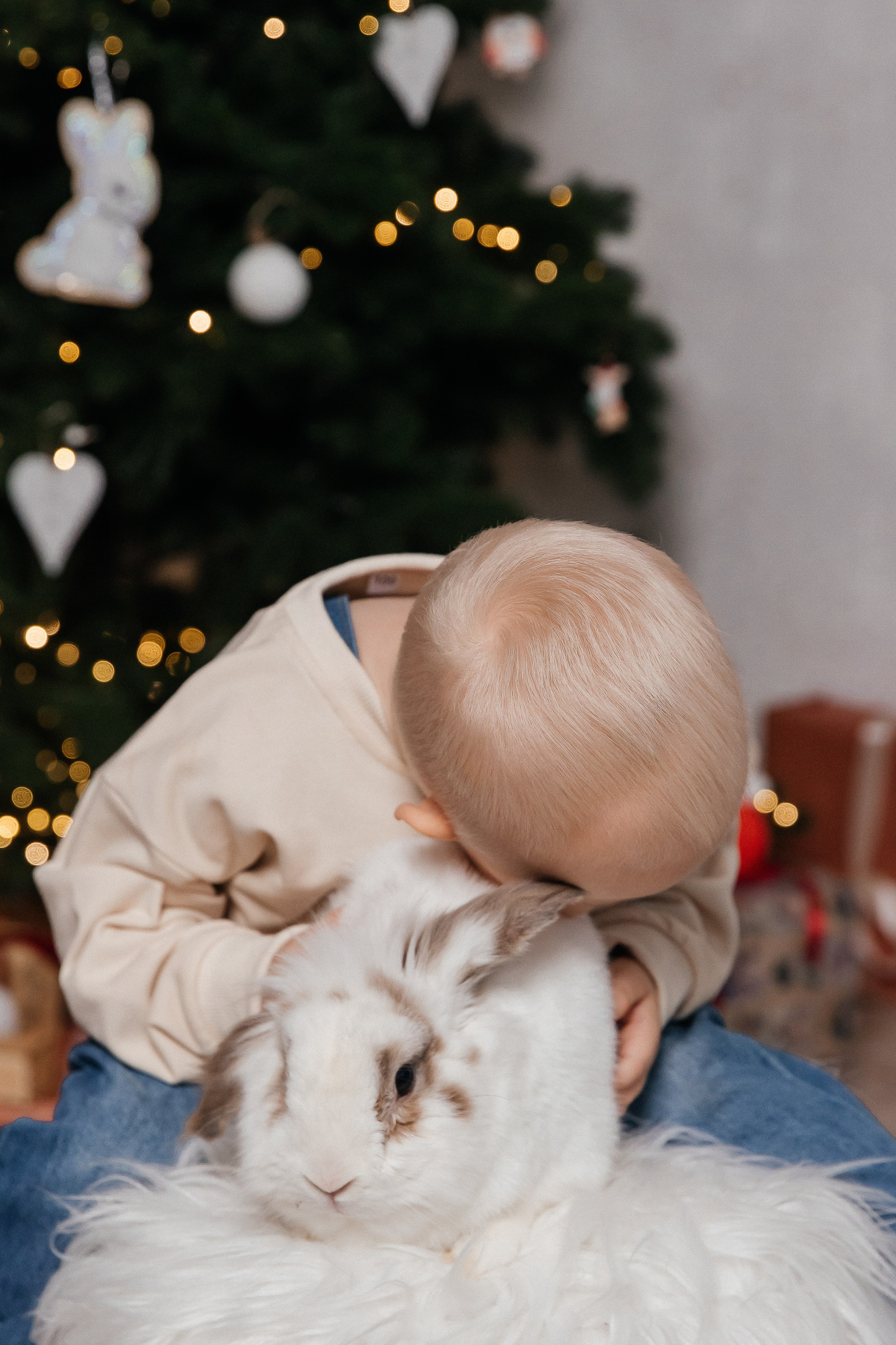 Новогодняя фотосессия✨️