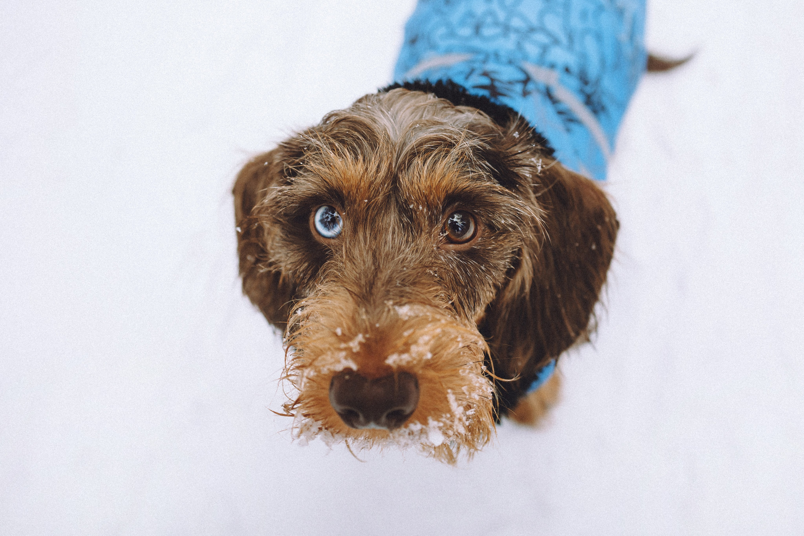 Каспер и его семья