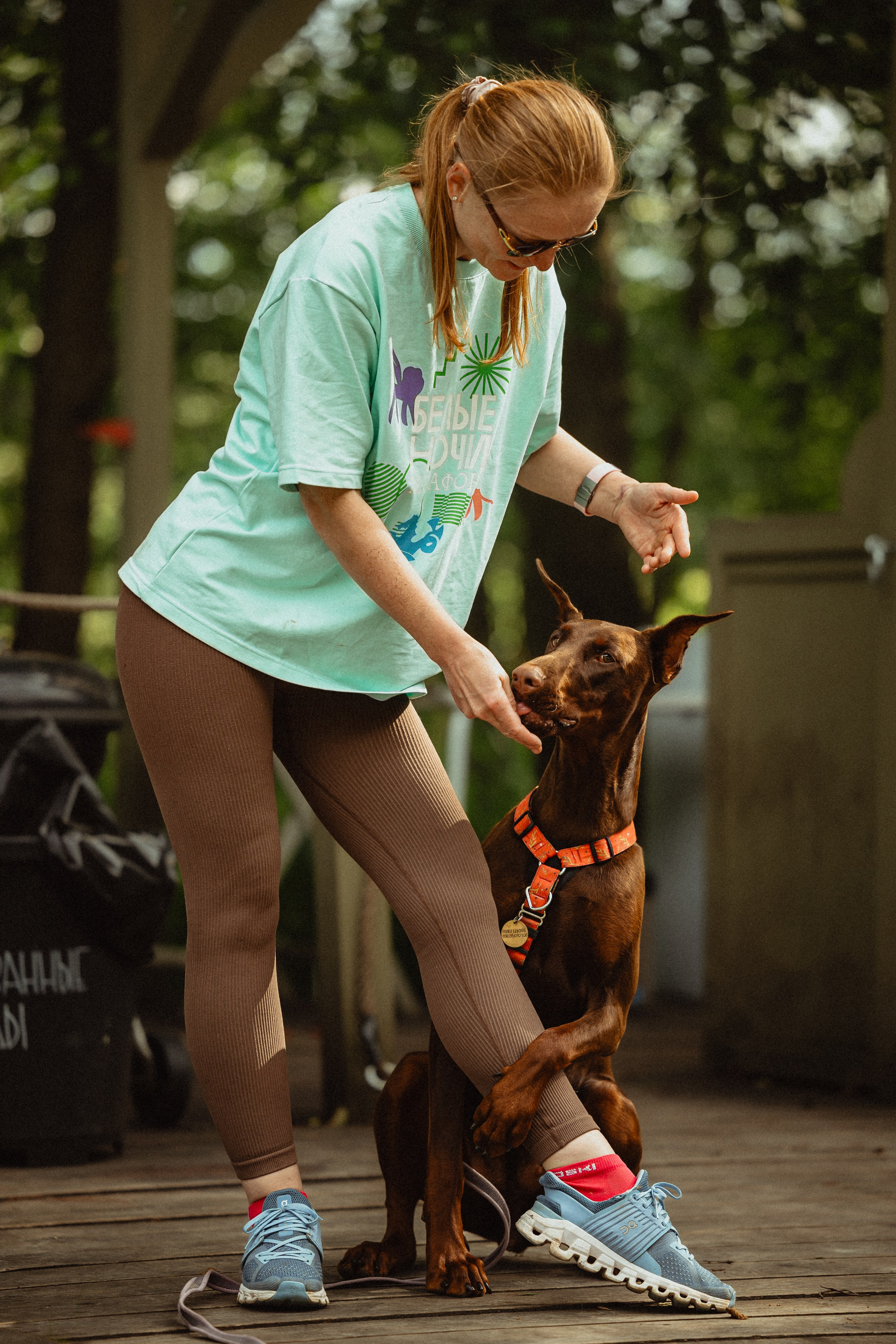 Выездной дог-тренинг от школы «Шерсть имею»