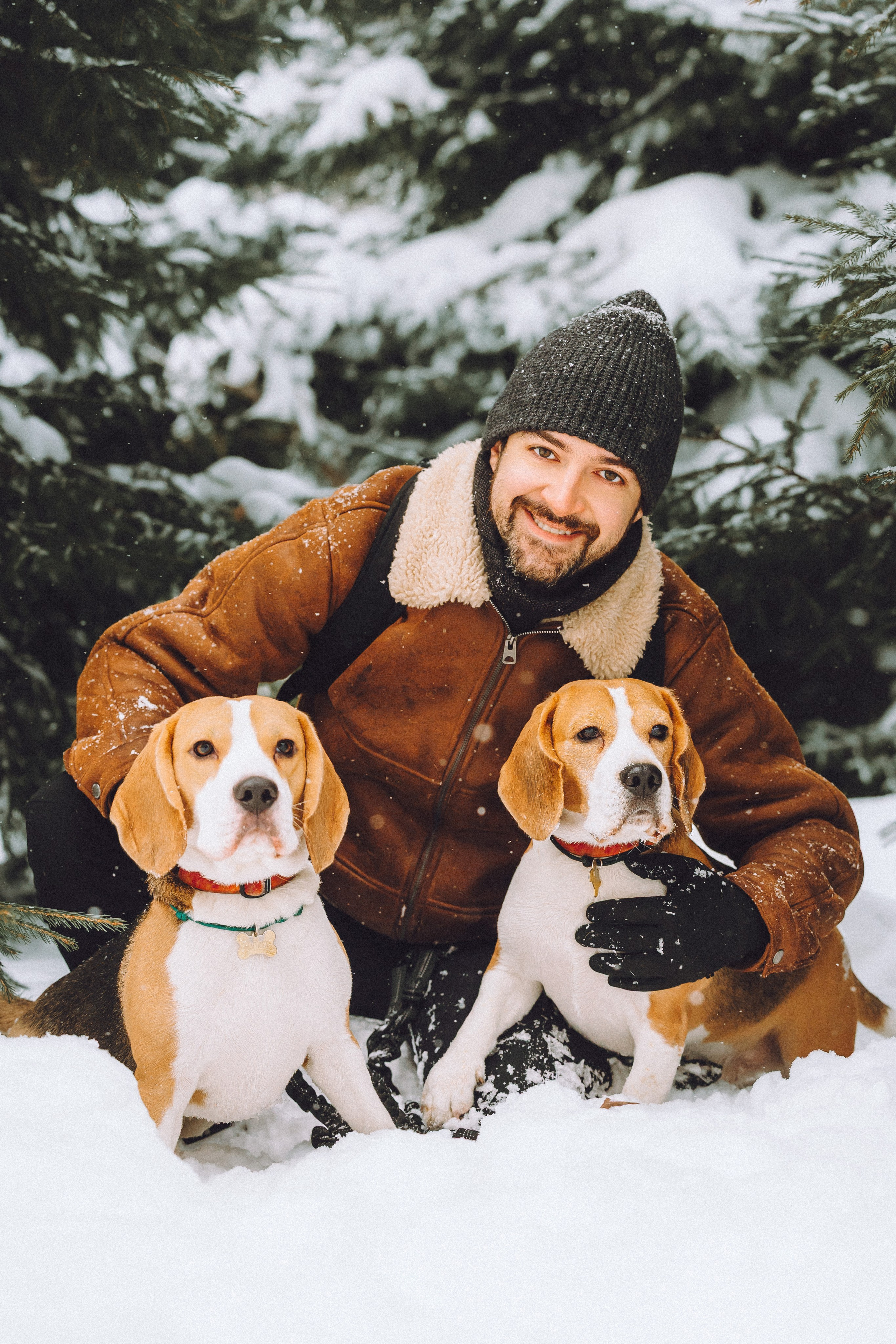 Роман, Портер и Коррес