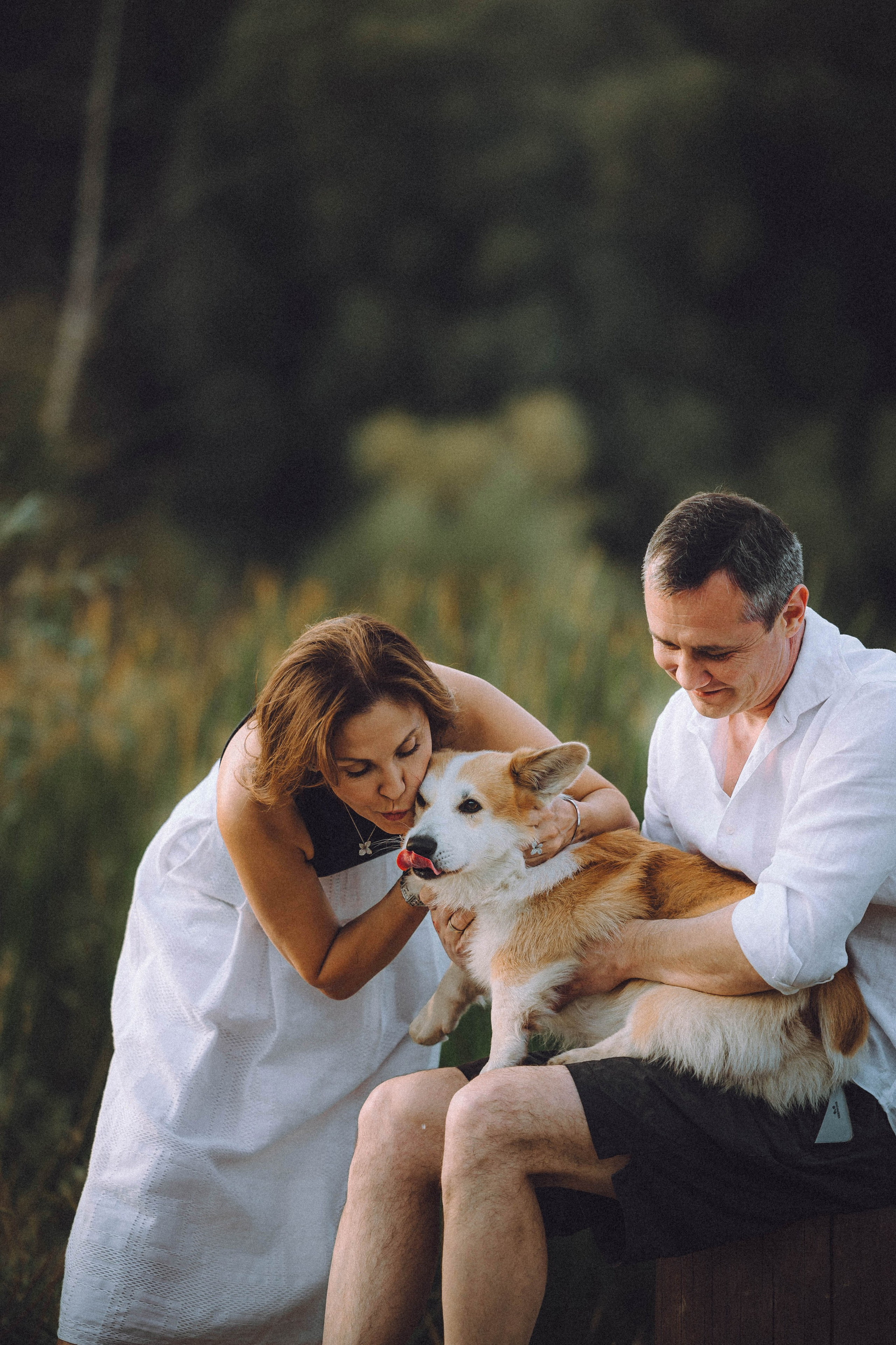 Арчи и его семья