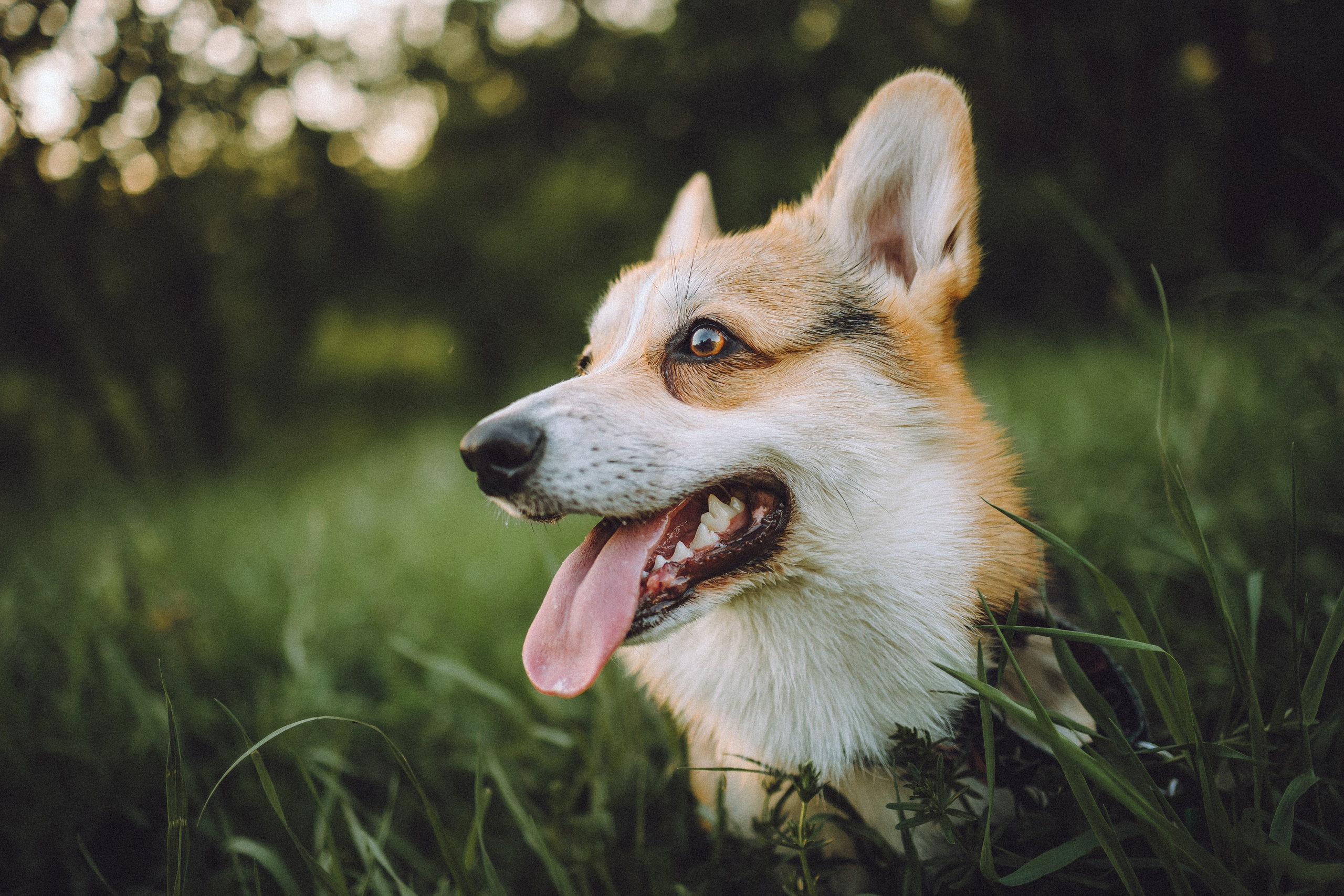 Илай, Зайка и их семья