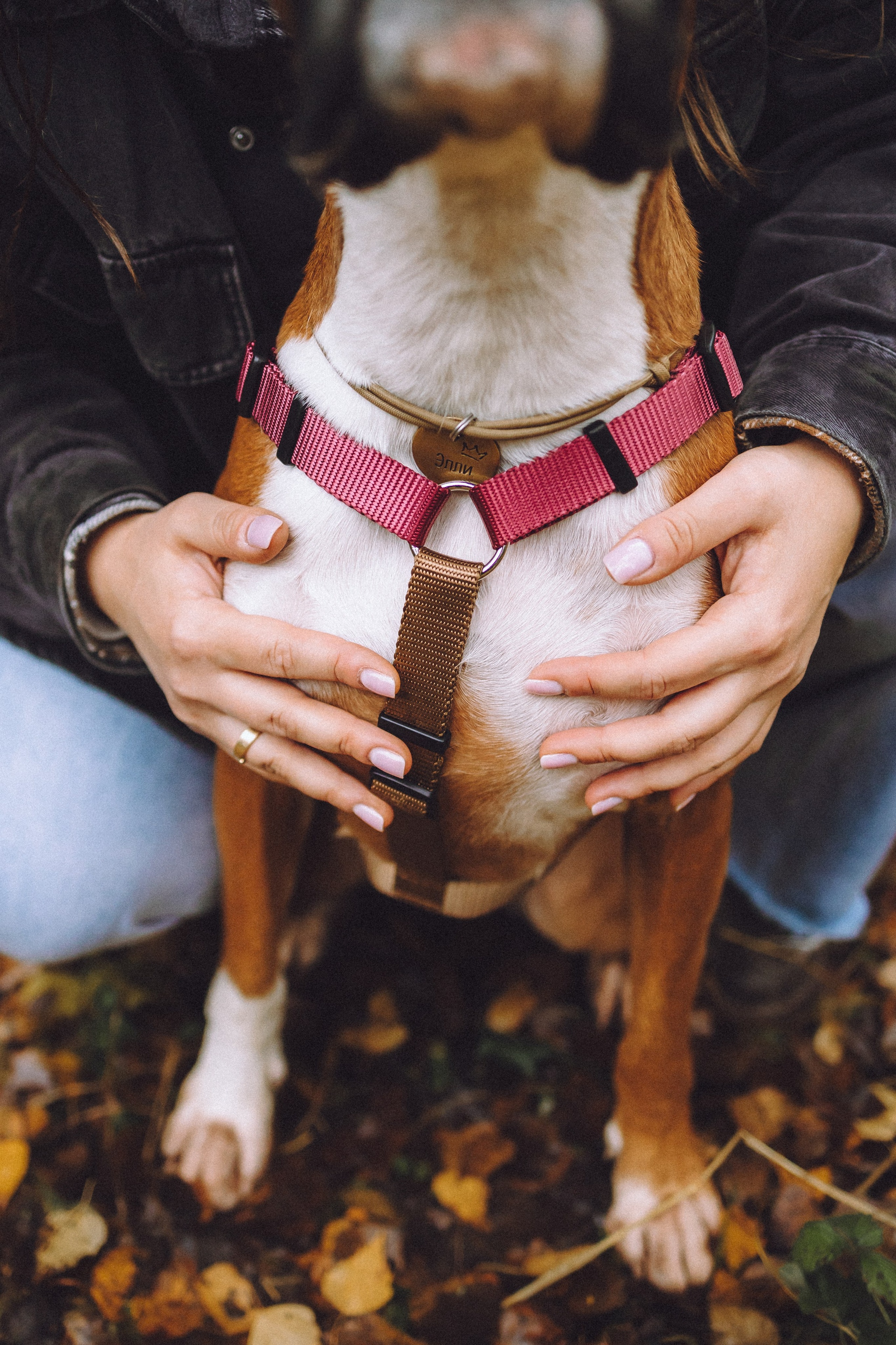 Элли и ее семья