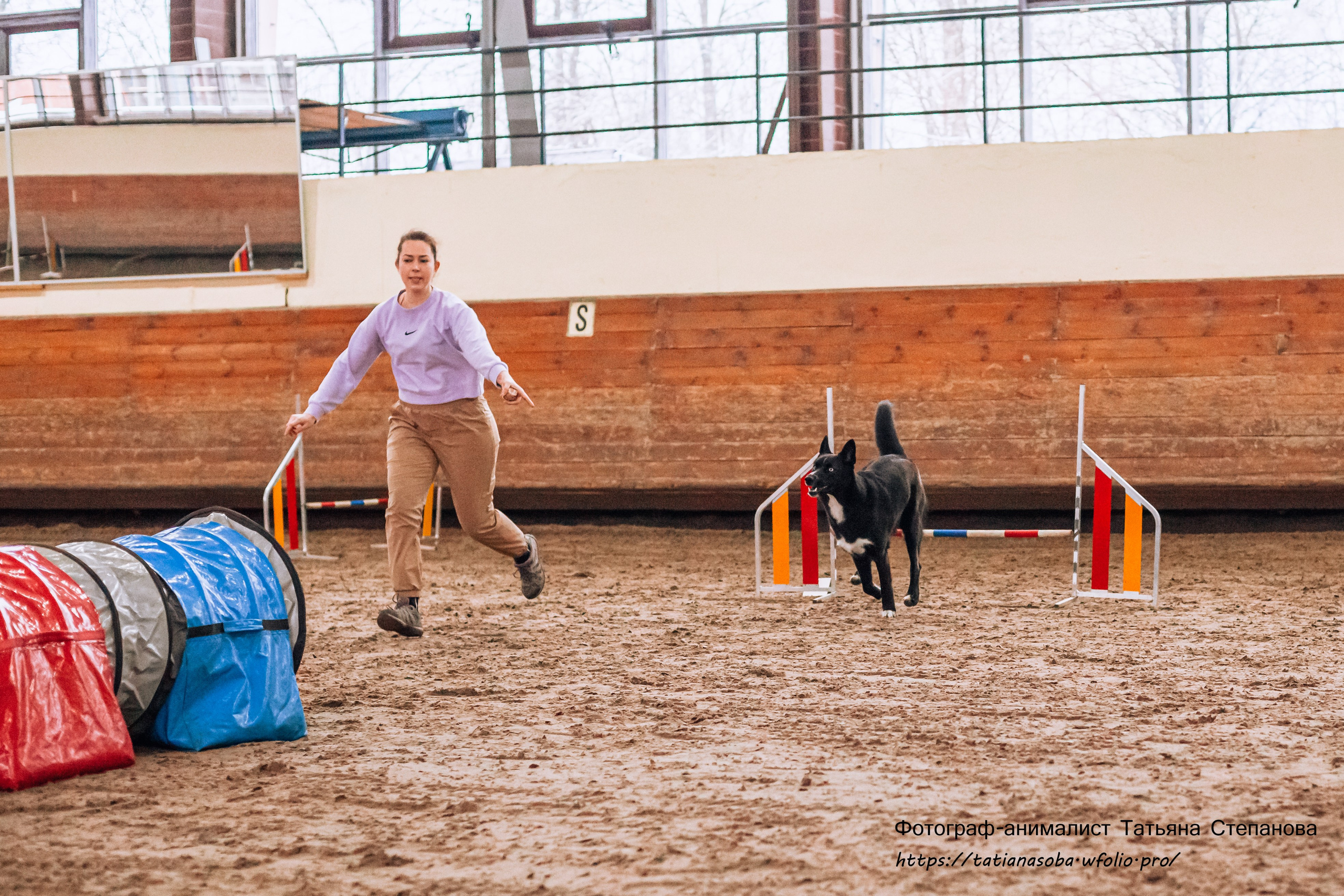 Соревнования по Аджилити 25.02.2024. Фотограф-анималист Татьяна Степанова