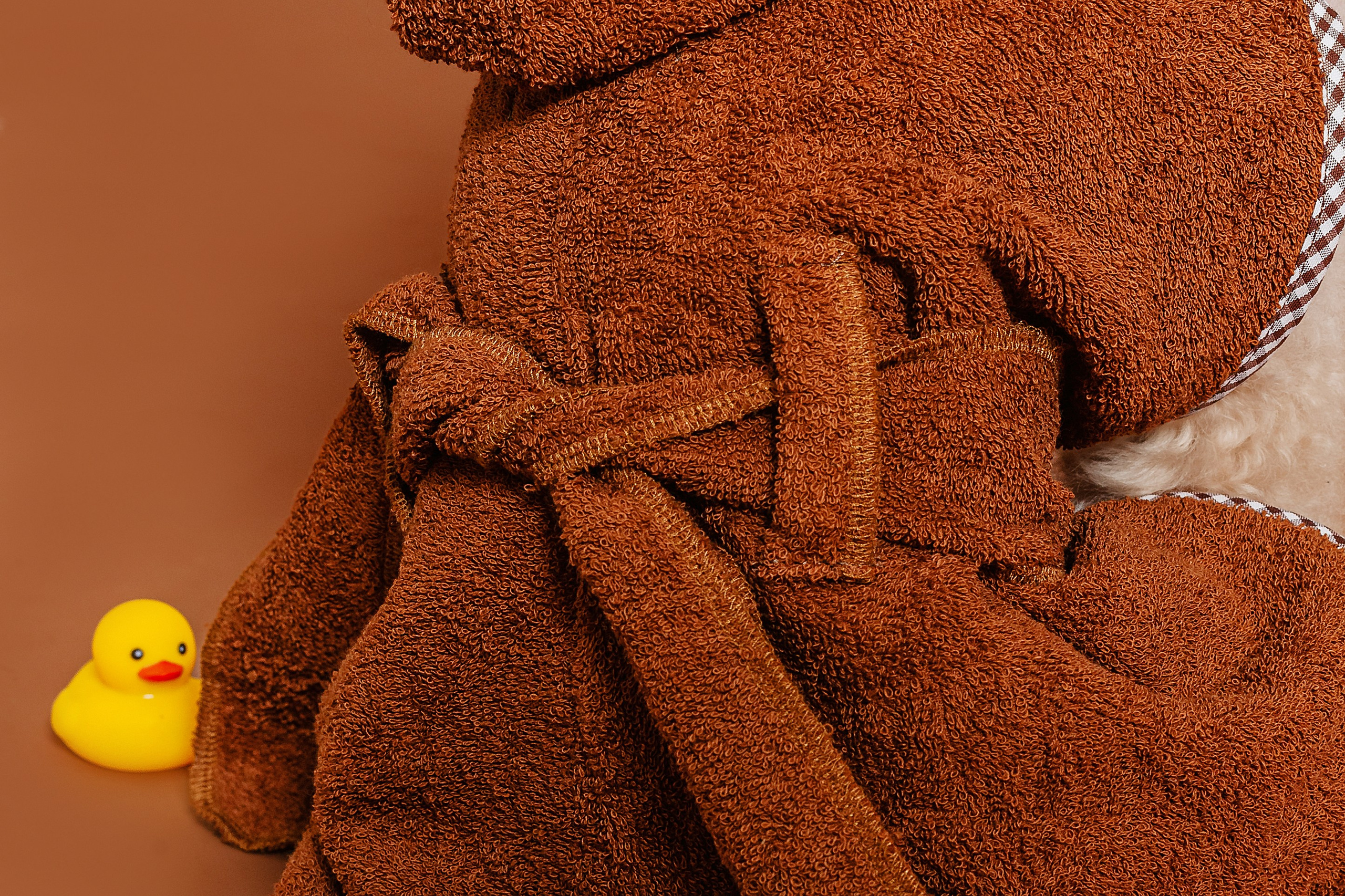 Съемка для бренда TEDDYBOY. Фотограф-анималист Татьяна Степанова