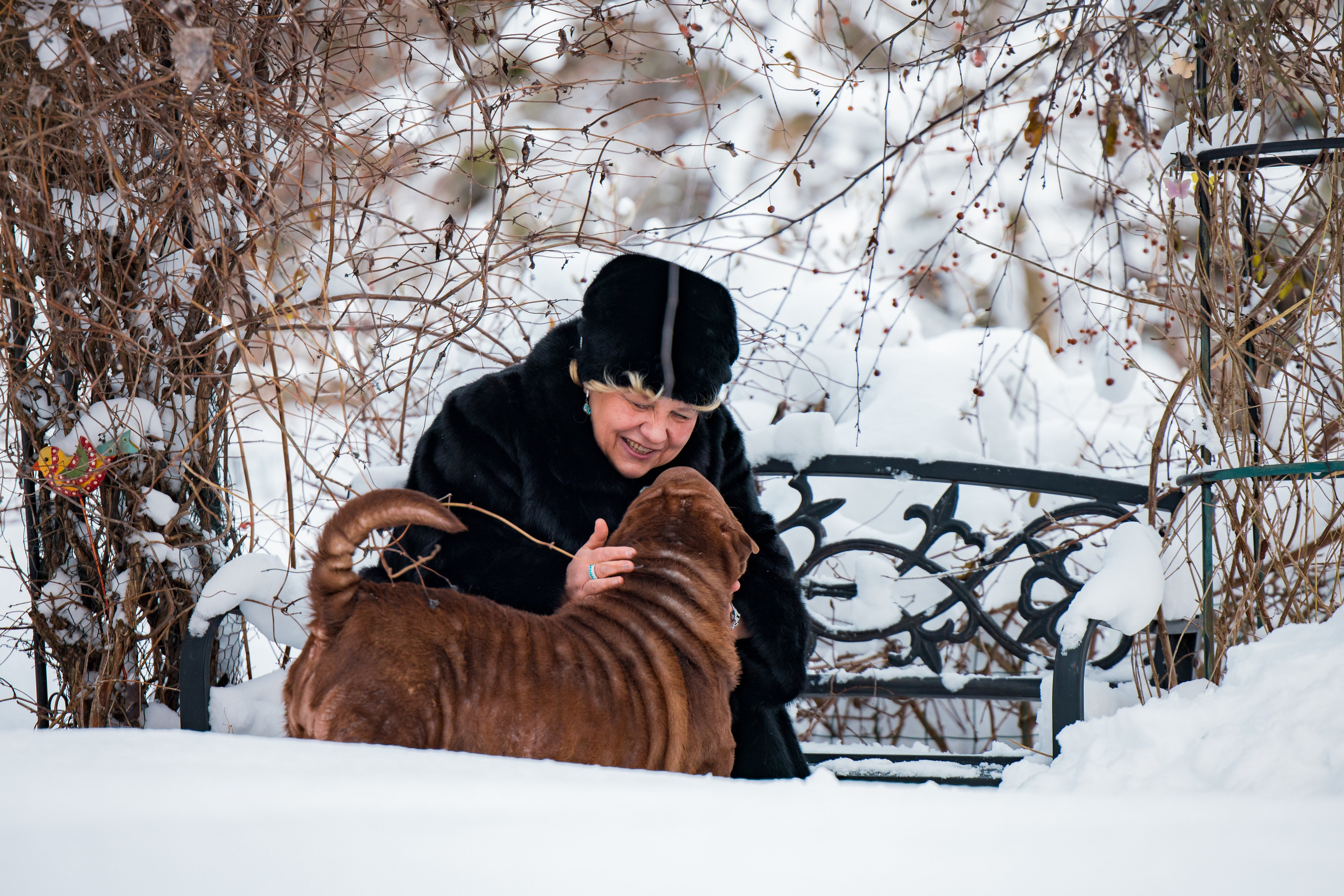 В гостях у шарпеев 16.01.2024. Фотограф-анималист Юлия Германика