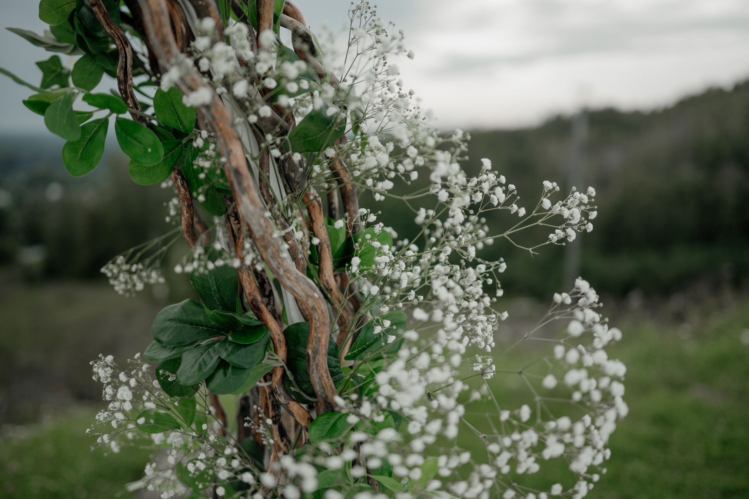 Валера и Лиза. Свадебный и Семейный фотограф в Ярославле Алёна Колясникова