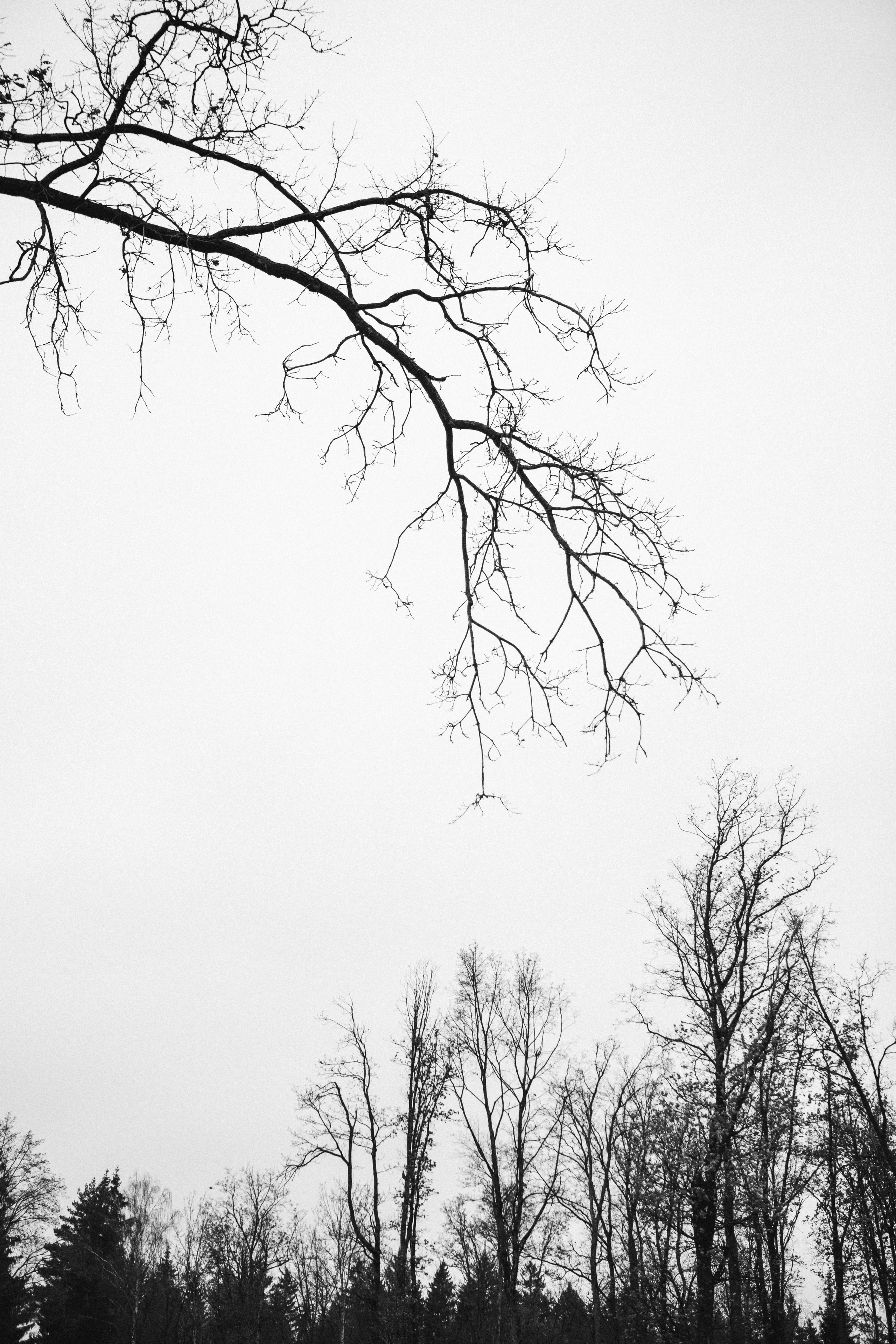 Гордость и предубеждение. Портретный фотограф в Минске