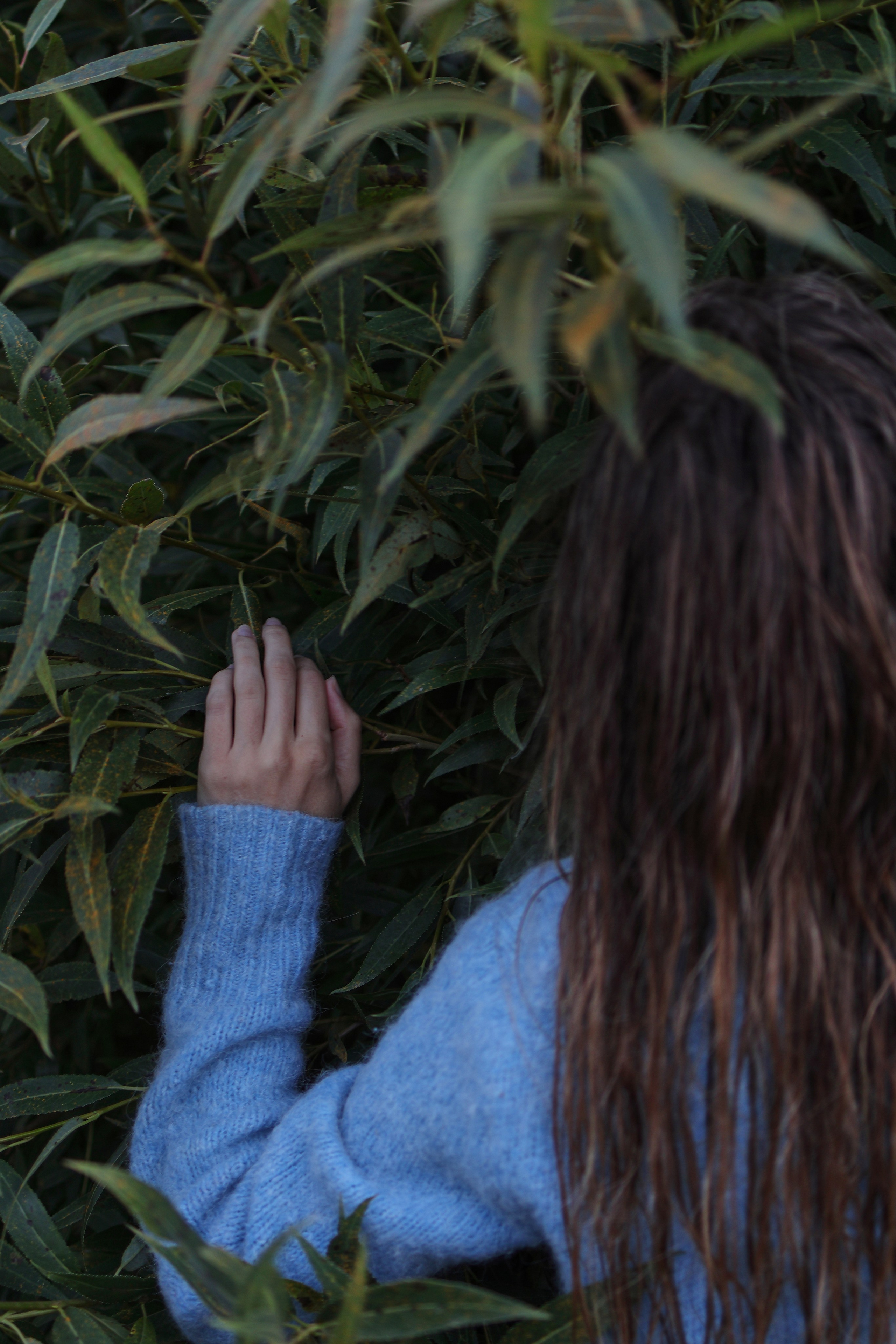 Cherrymary.photo