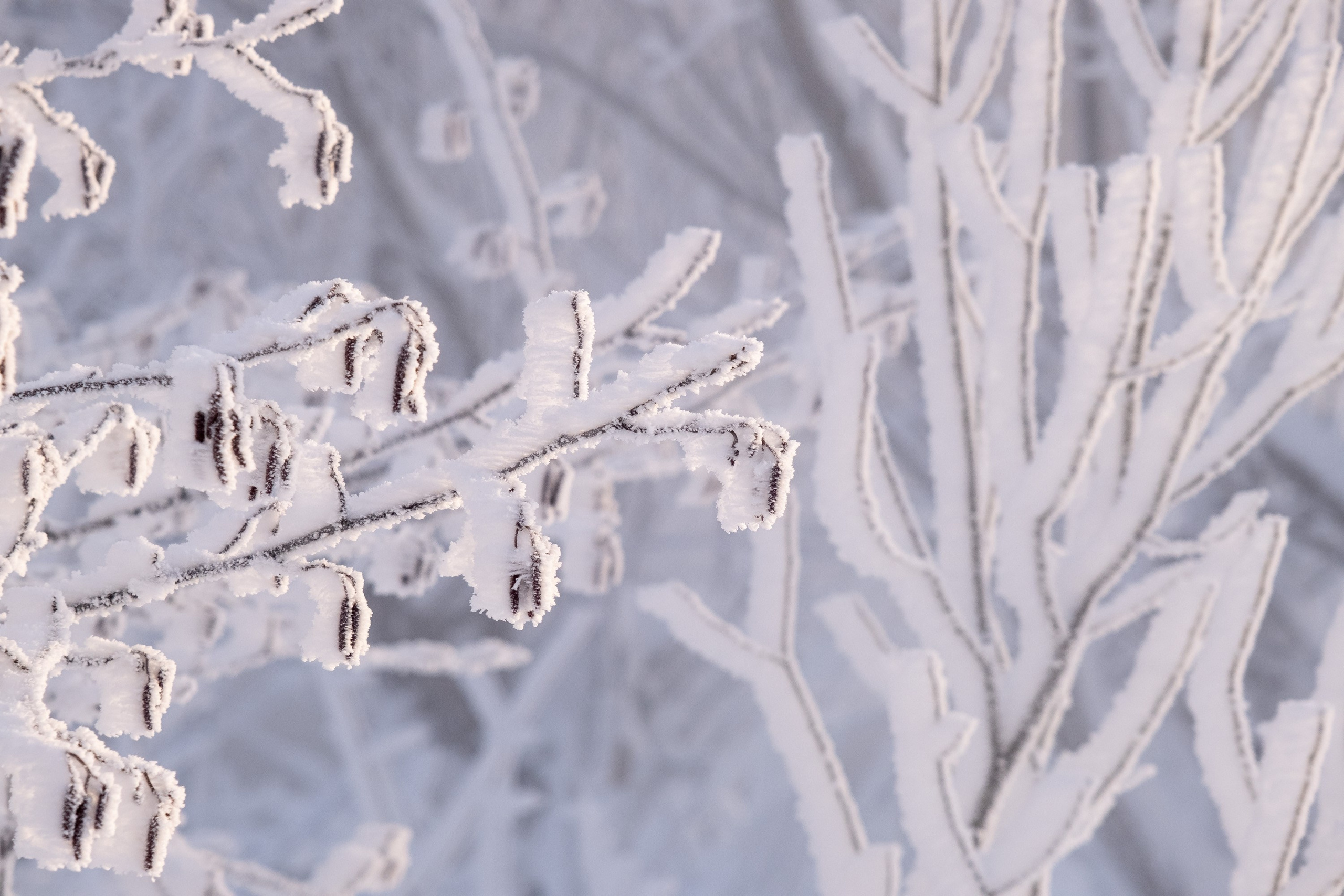 Озеро Горячка. Фотограф и видеооператор в Туле | Даниил Рыбак