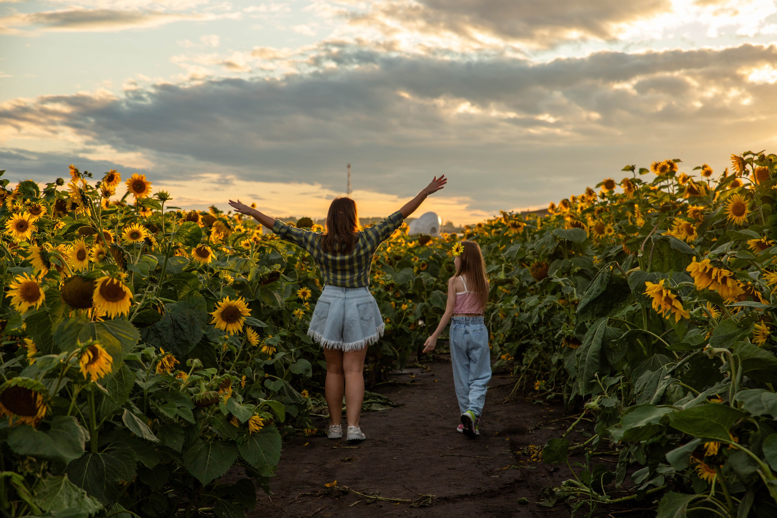 Фотосет в подсолнухах. Алена и Арина. Фотограф Лапочкина Татьяна