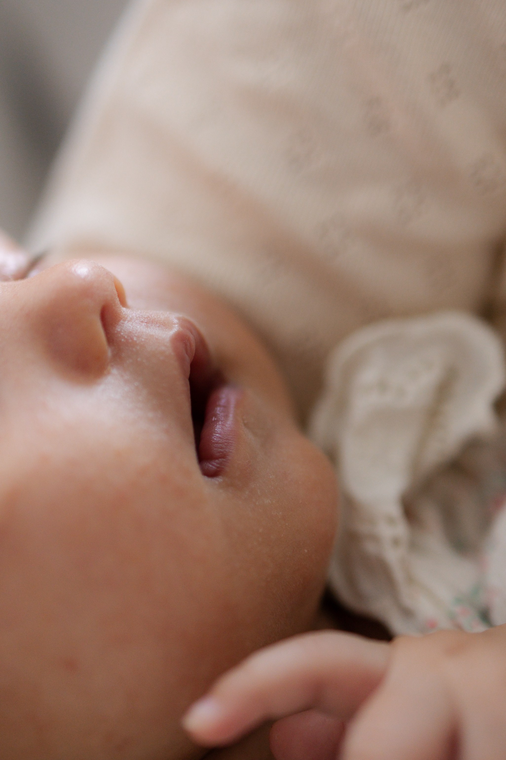 Вчетвером. Фотограф Шелудкова Яна, город Тюмень