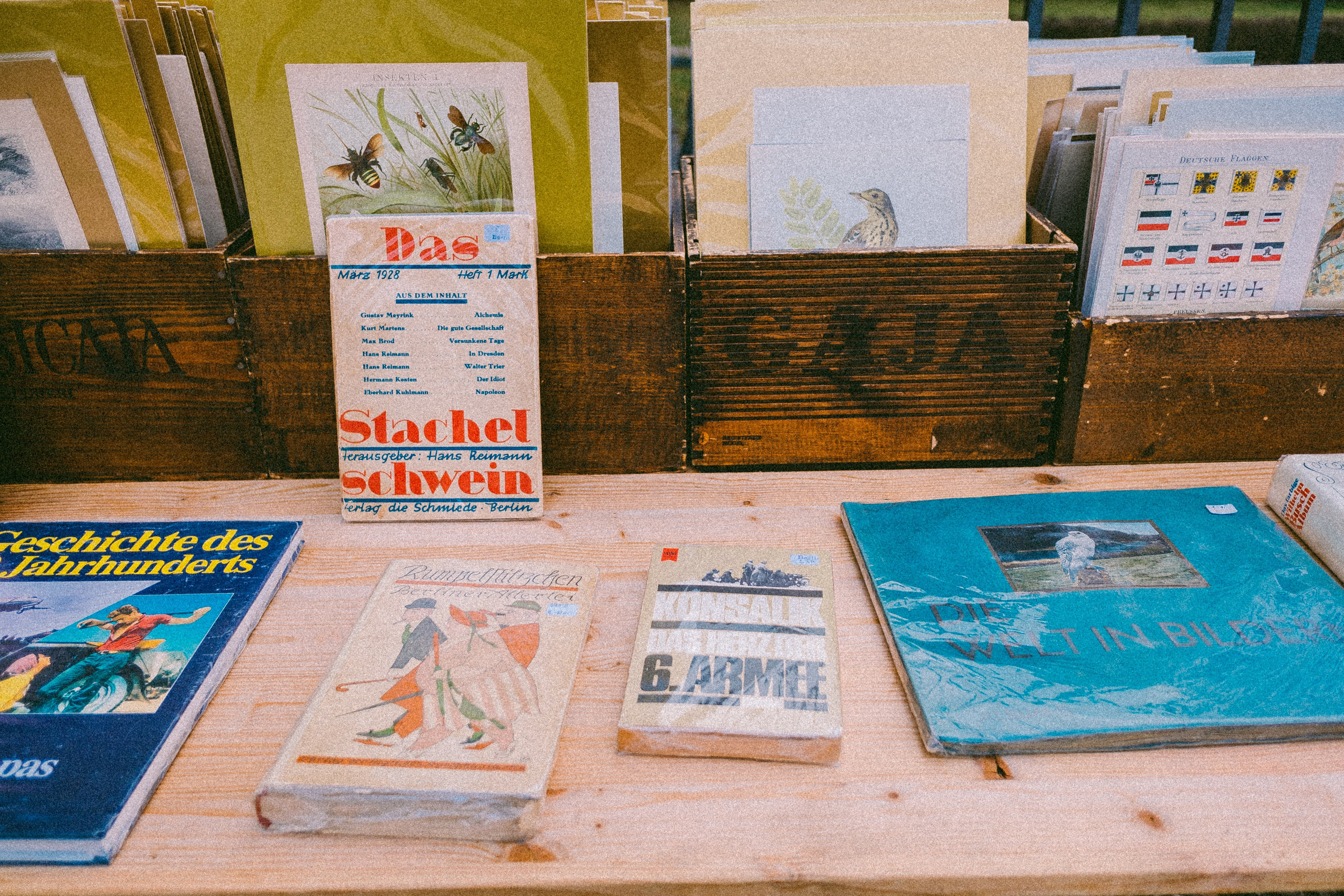 Берлин. Аня Степанова