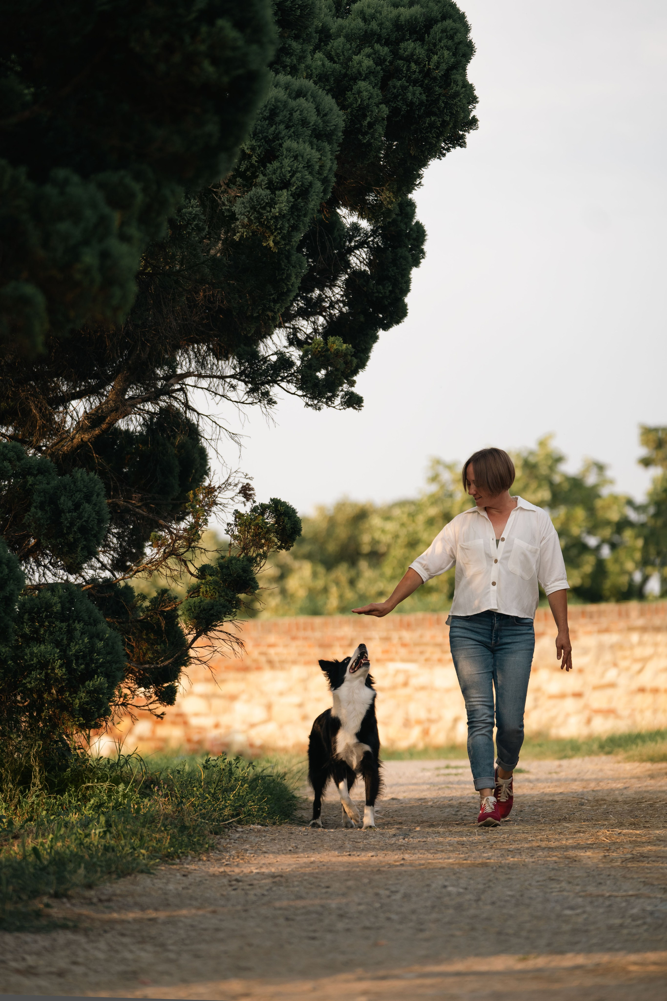 Белград, Калемегдан. Таня и Шегги. Фотограф анималист