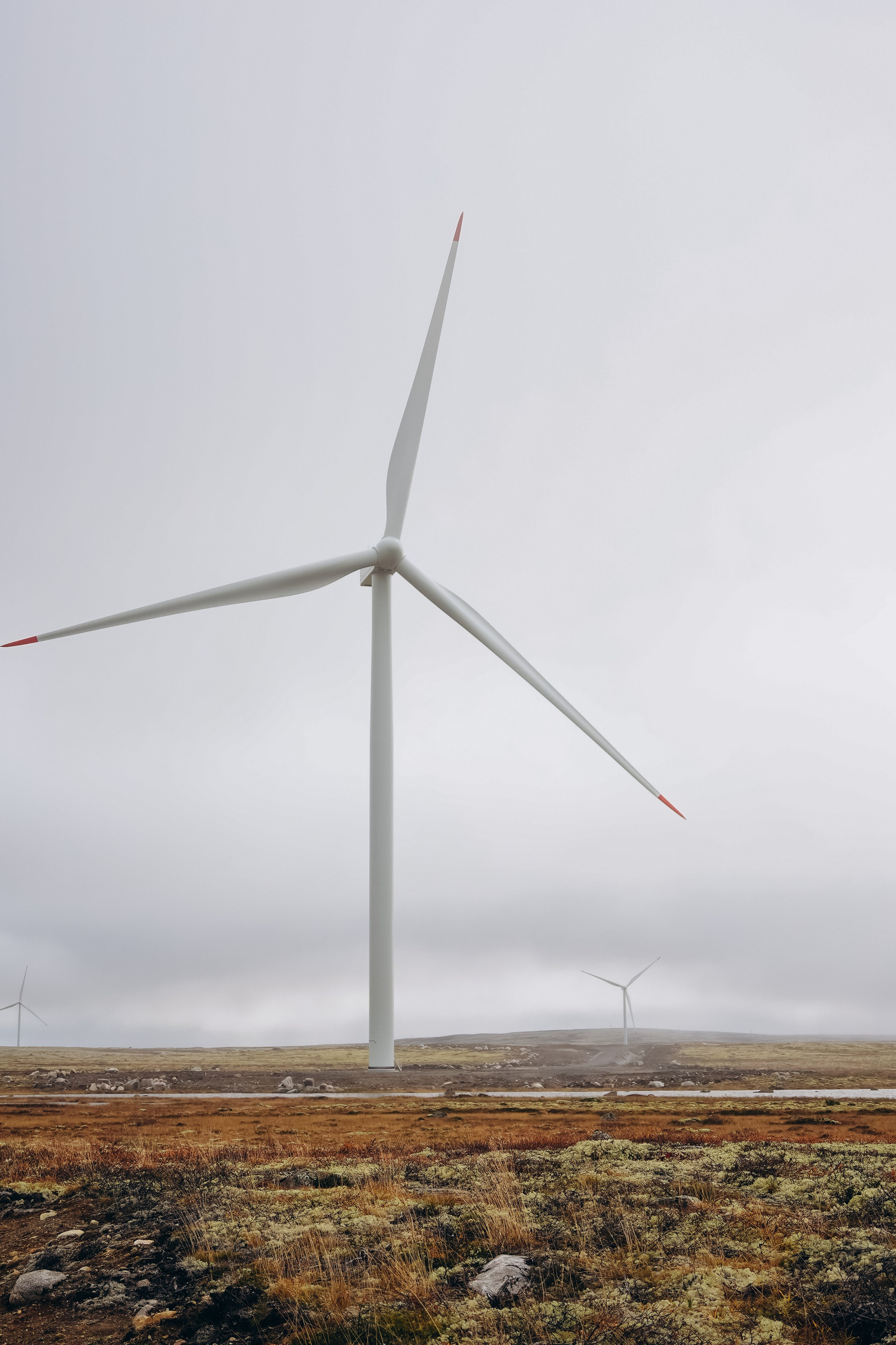 СЕВЕР. Event фотограф Степанова Александра