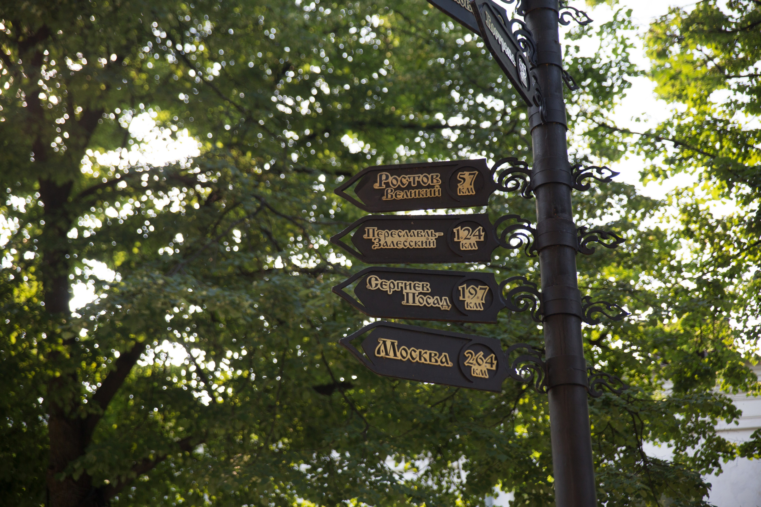 Г. Ярославль. Студия Максима Белослюдцева