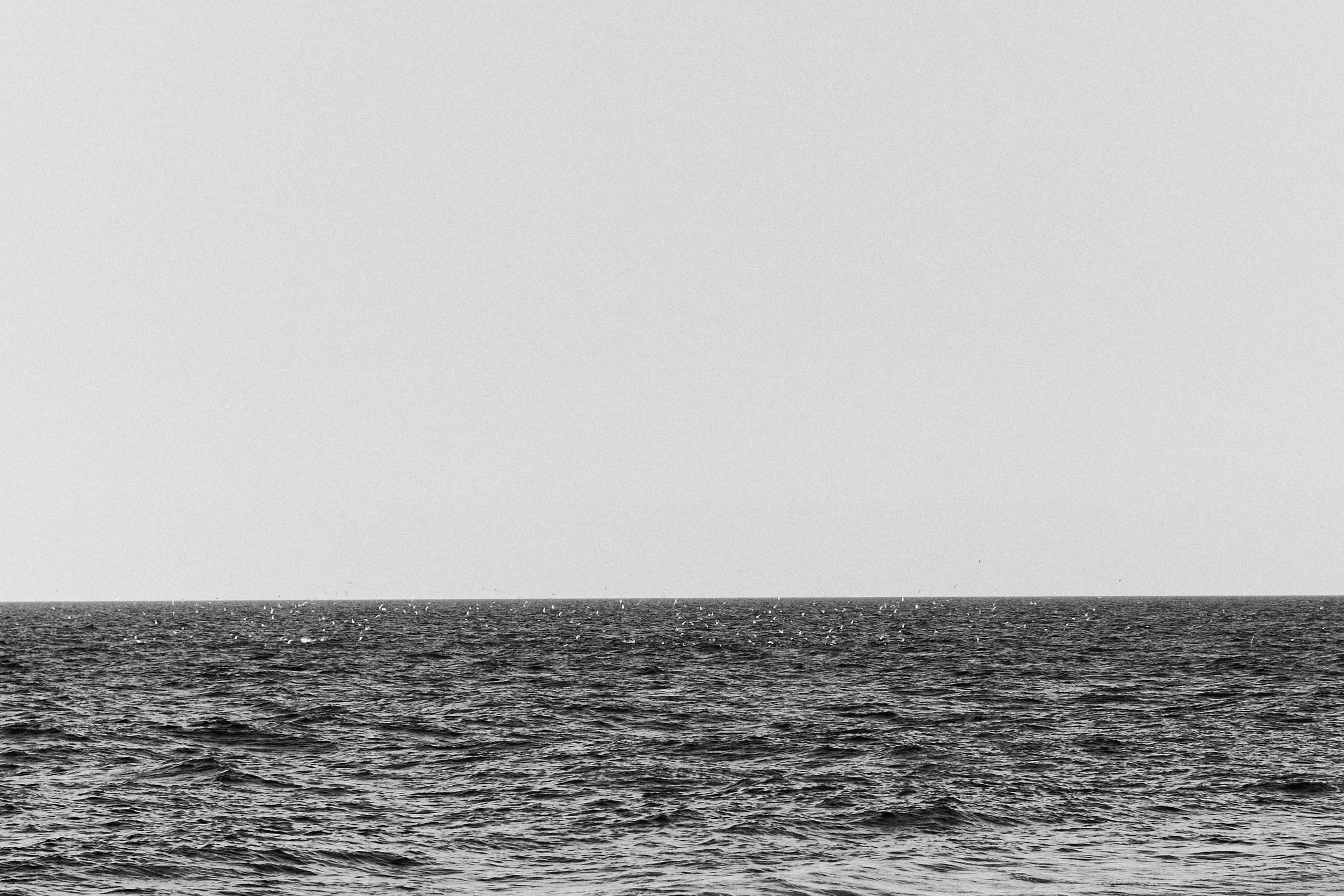 Другое 3. Jorgis Talè — photographer, kind person, teacher of arts and other mag