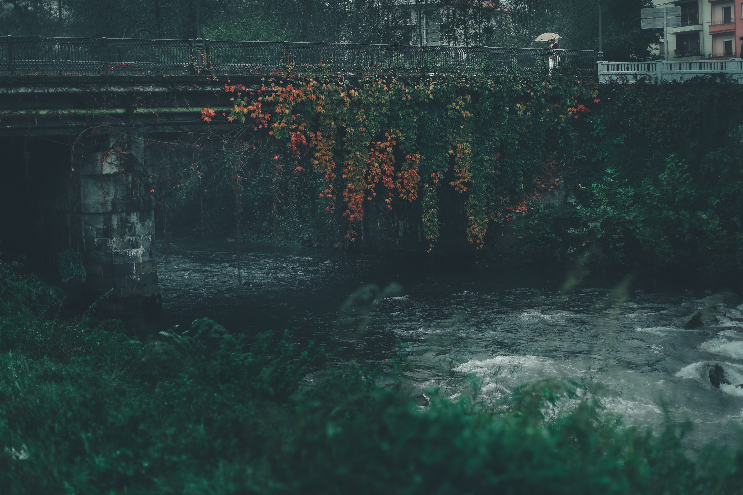 Пейзаж. Фотография как кино