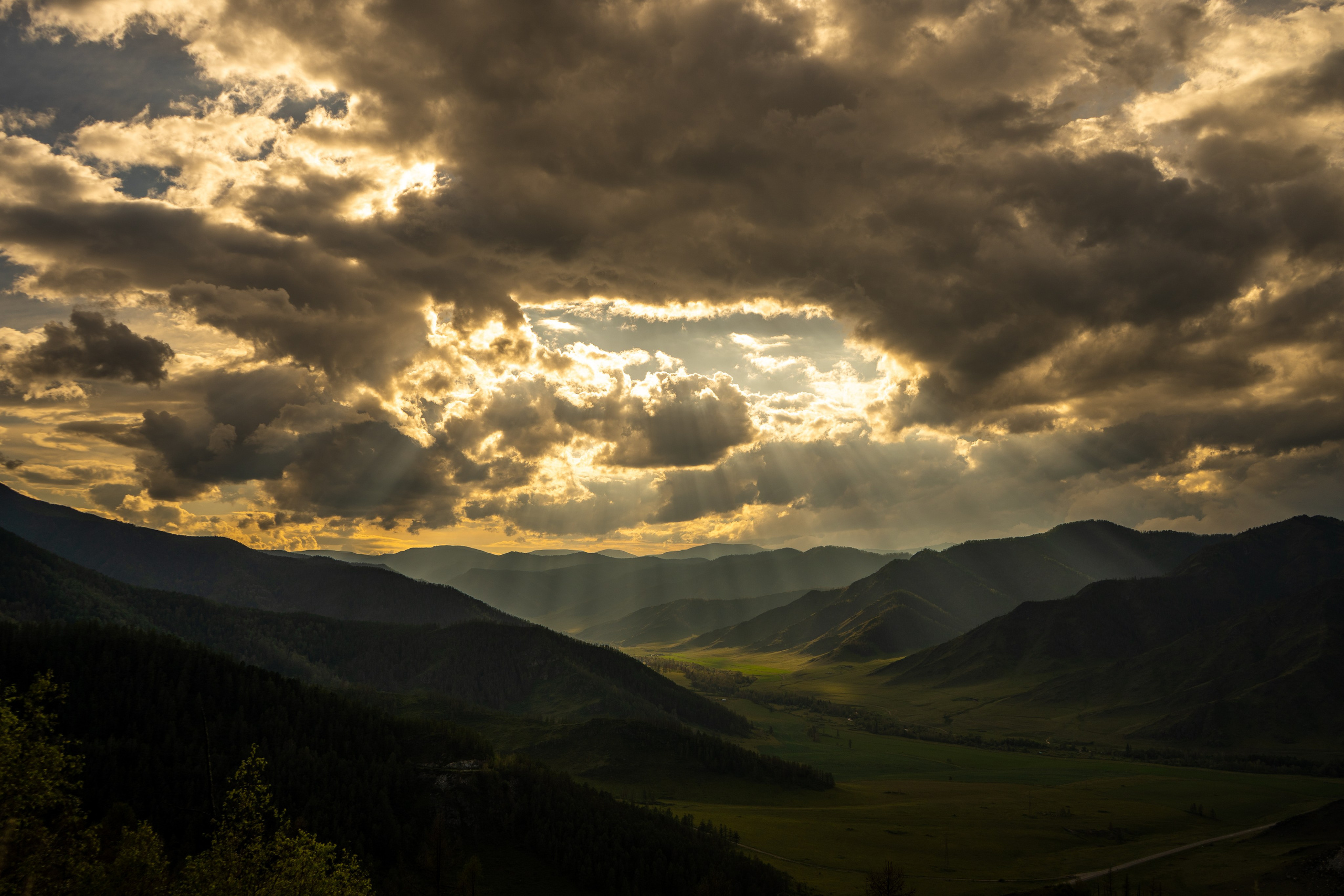ЦВЕТНЫЕ ФОТОГРАФИИ. Никита Аничкин фото и видео оператор из России