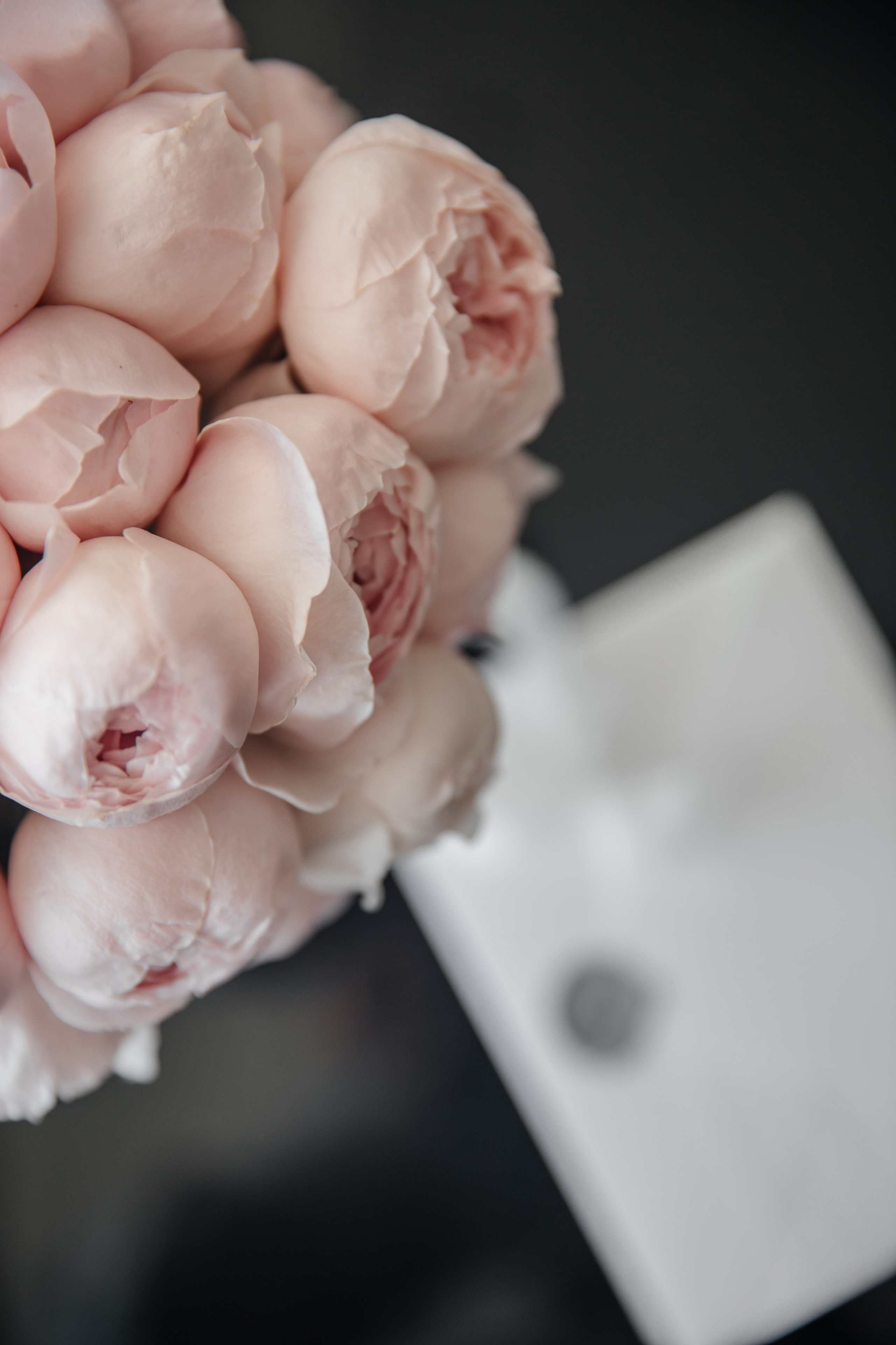 Roman & Angelica. Фотограф Анжелика Кварц. Санкт-Петербург, Wedding Photographer in Spain, France, Italy, Montenegro