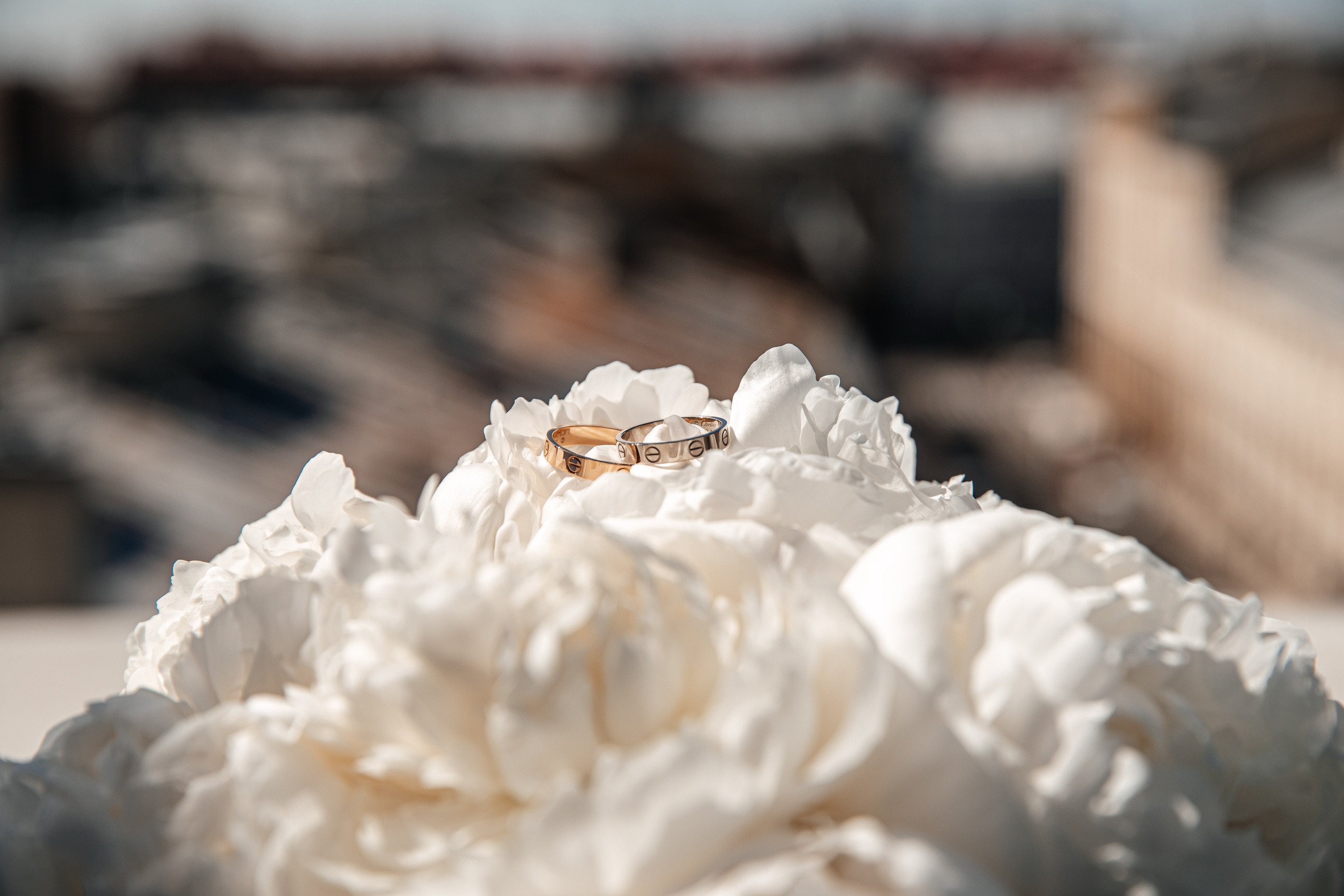 Vladimir & Evgenia. Фотограф Анжелика Кварц. Санкт-Петербург, Wedding Photographer in Spain, France, Italy, Montenegro