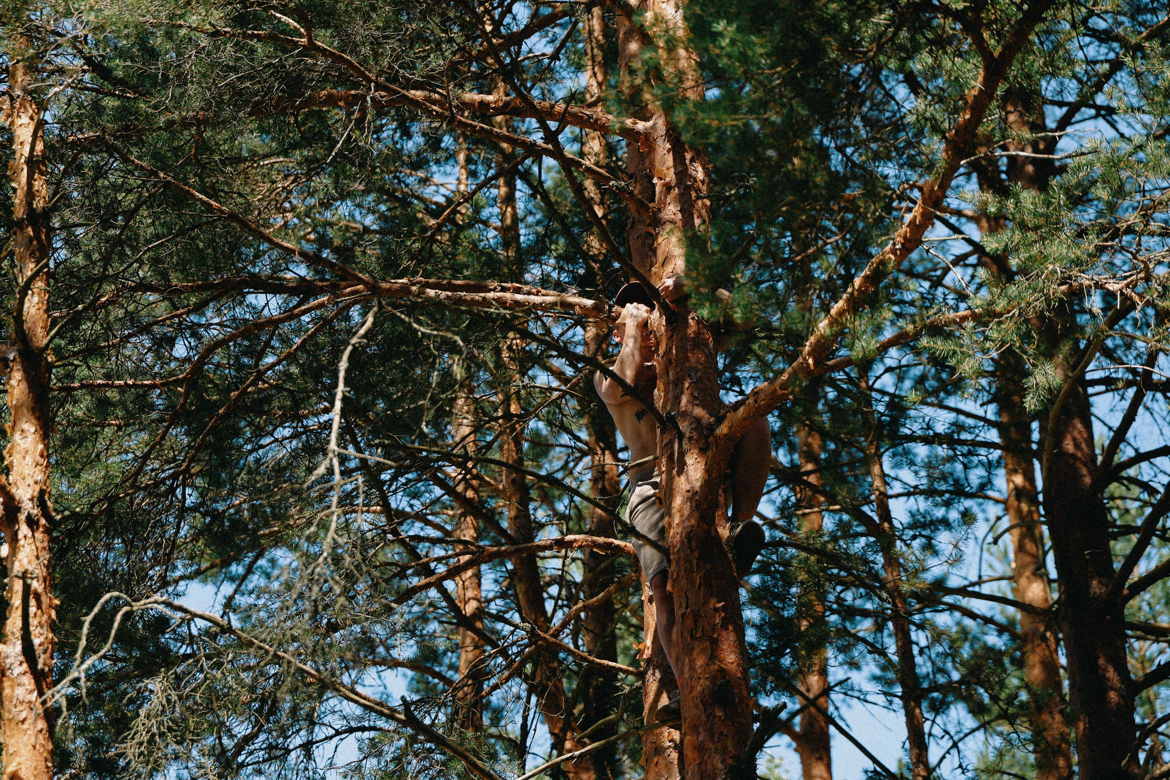 /РЕПОРТАЖ/ Велогонка ЦАРЬ-ГРЕЙДЕР 2. 2024. Свадебный фотограф Великий Новгород Станислав Кособудский