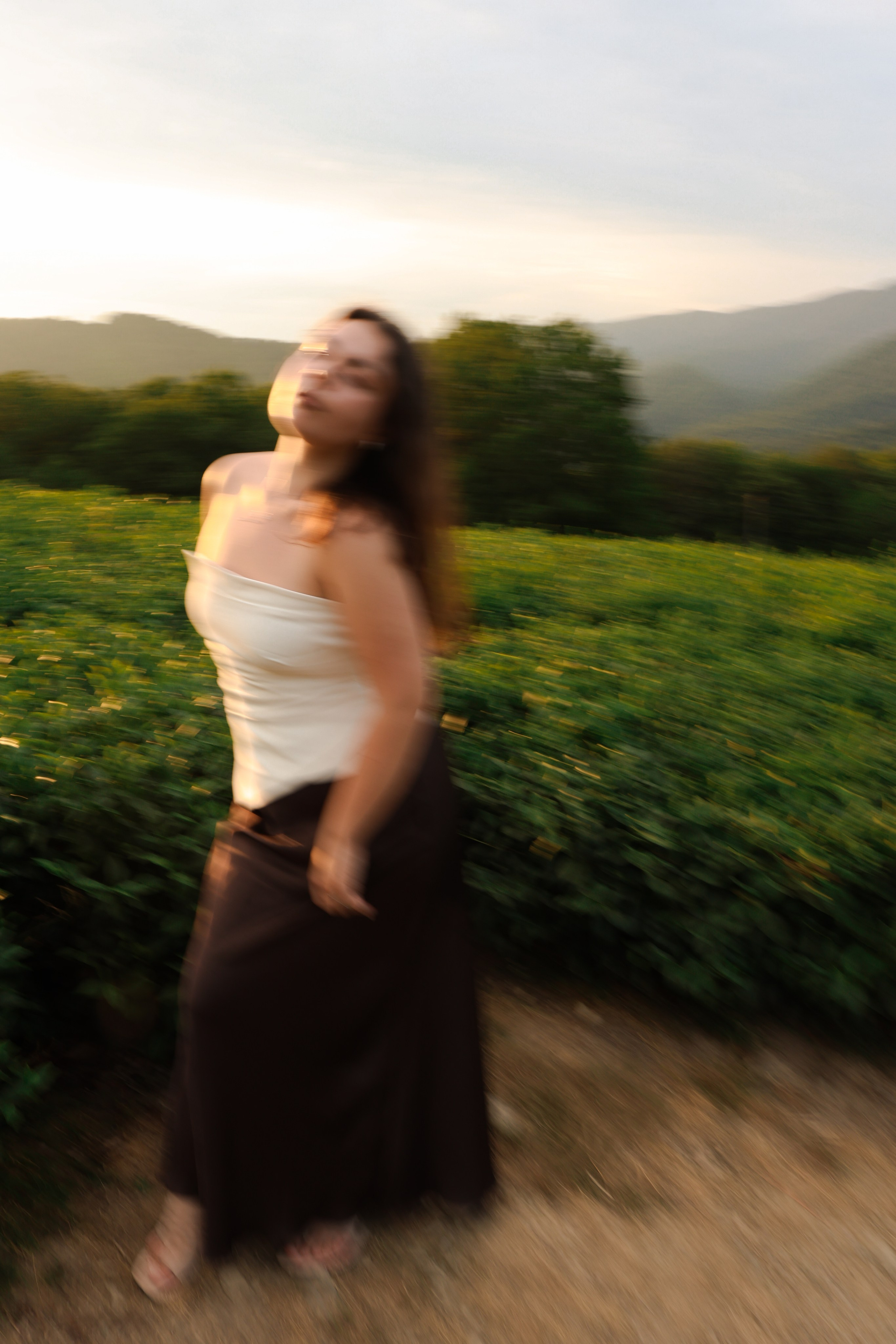 ЧАЙНЫЕ ПЛАНТАЦИИ. Фотограф Москва Оля Олбимак