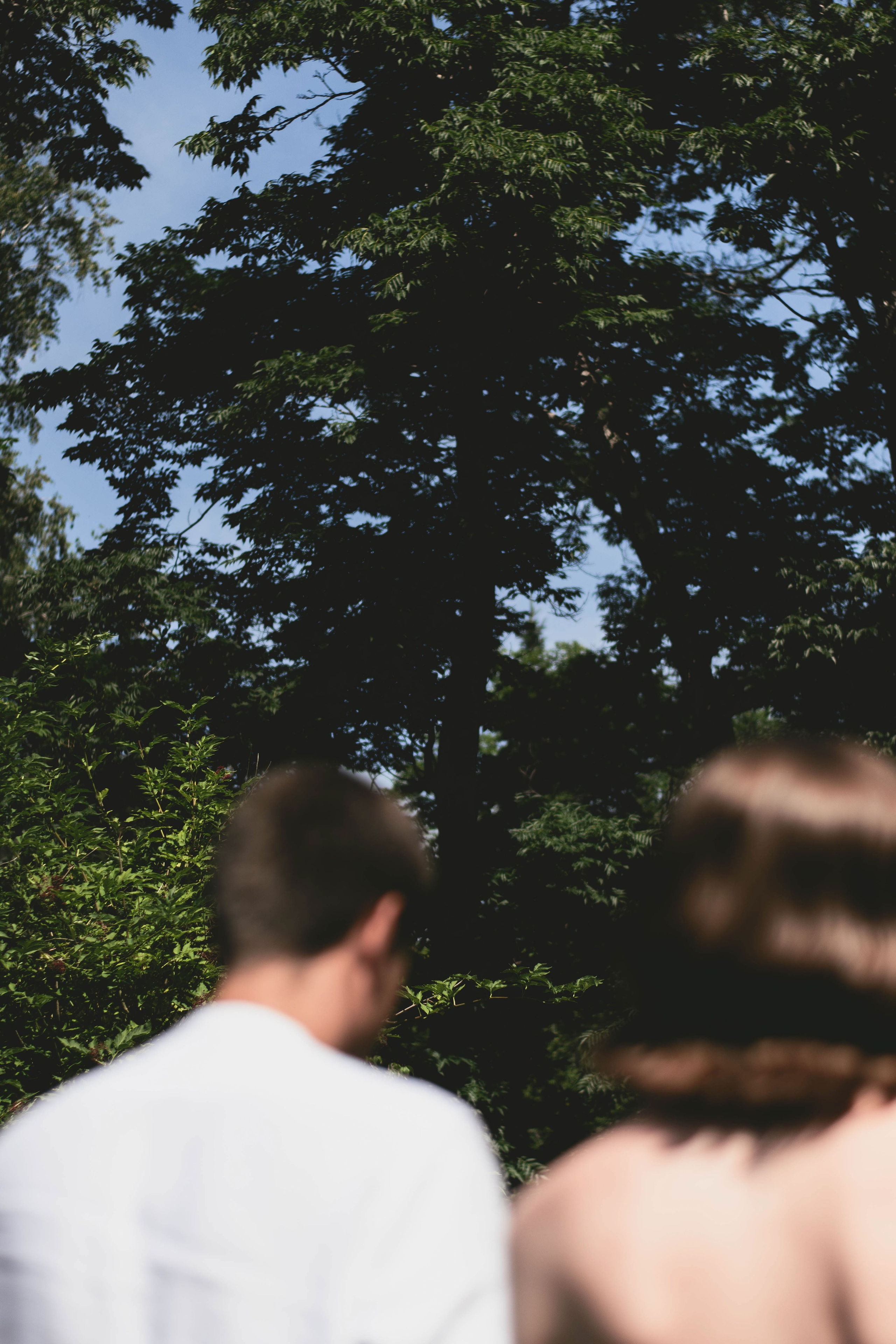 Миша и Аня. Фотограф Барнаул — NAVI / НАВИ