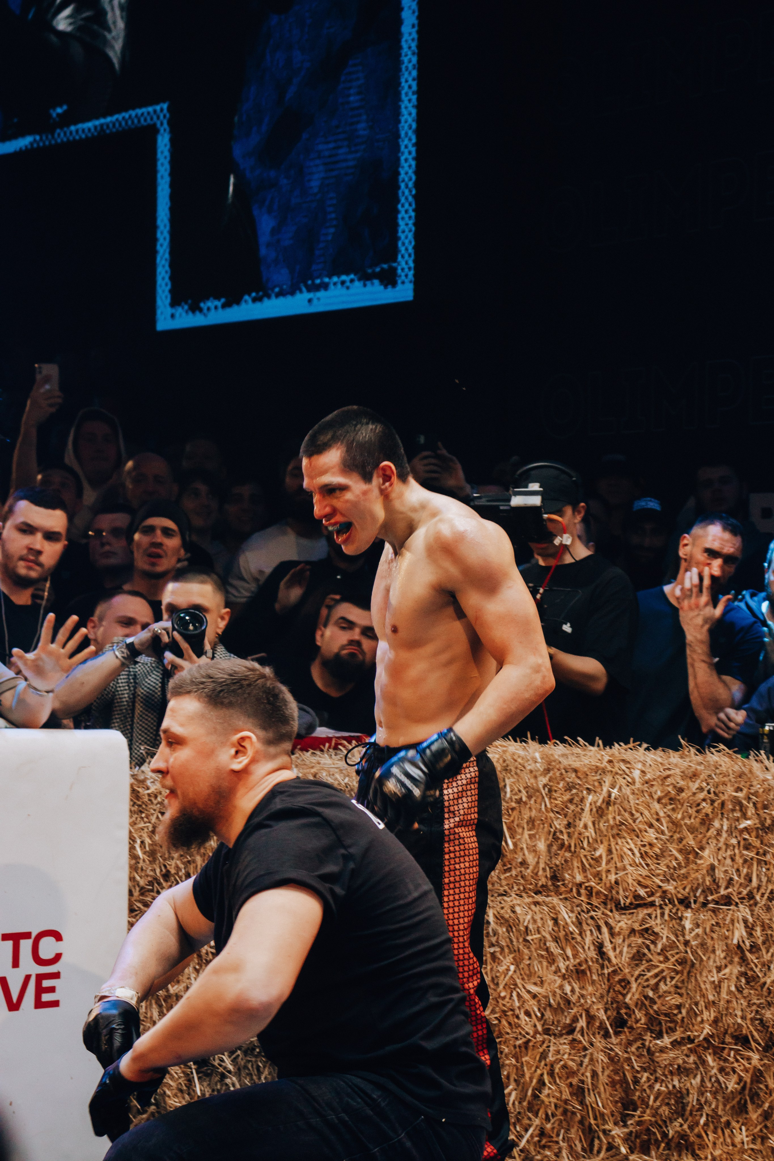 Кулачные бои TopDog. Анастасия Тен