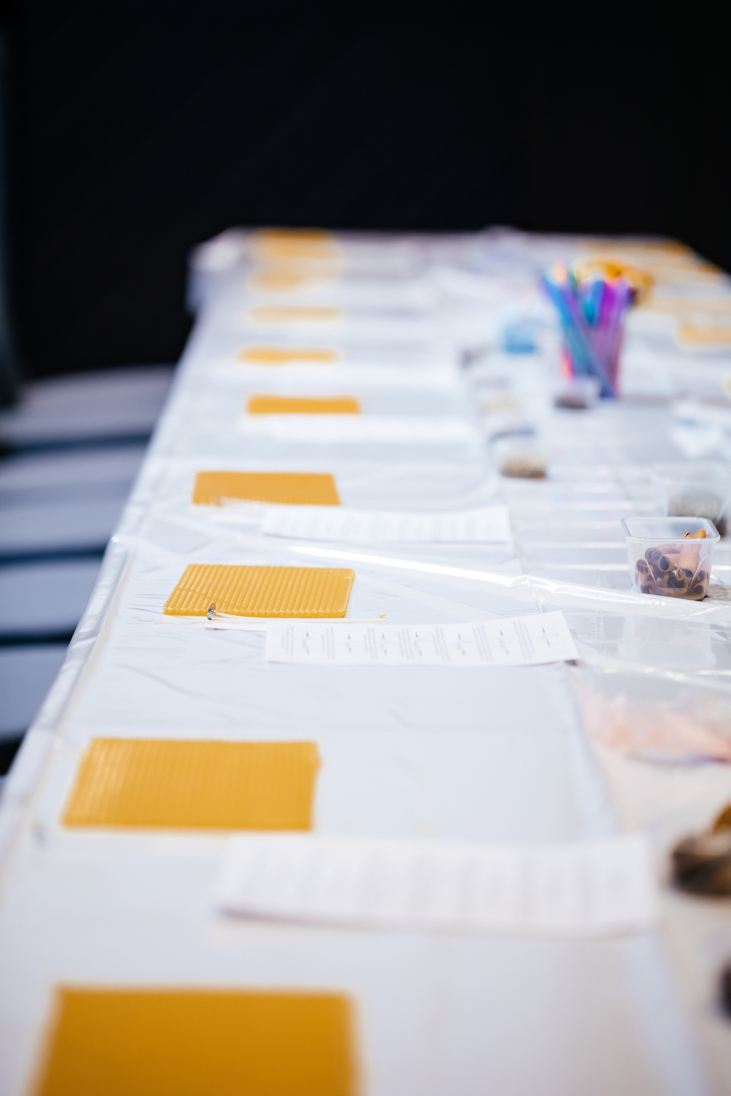 Конференция врачей. Красильников Евгений — профессиональный фотограф в Ростове-на-Дону